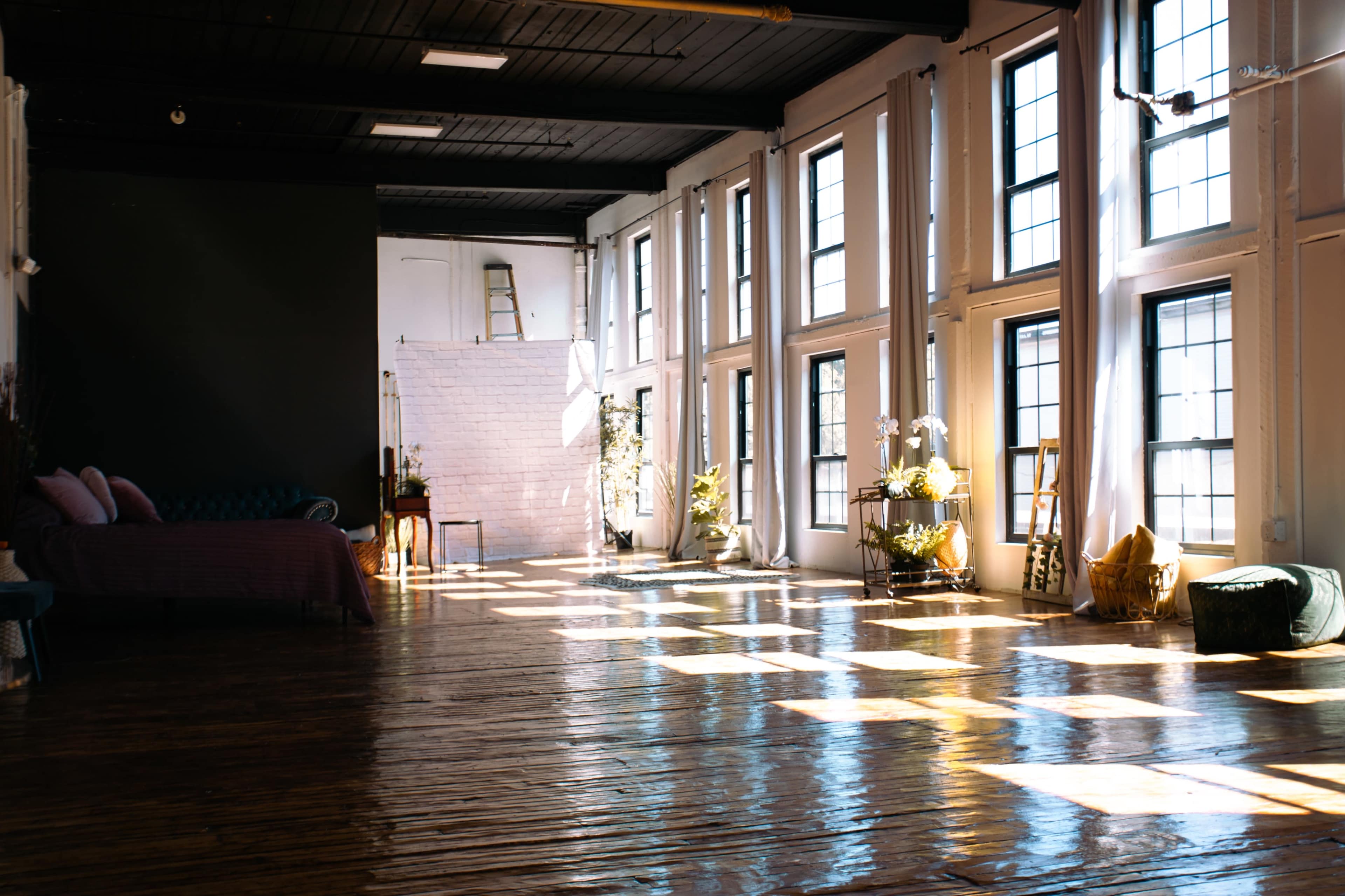 The image shows a spacious room with large windows casting shadows on a polished wooden floor, featuring plants and a few pieces of furniture.