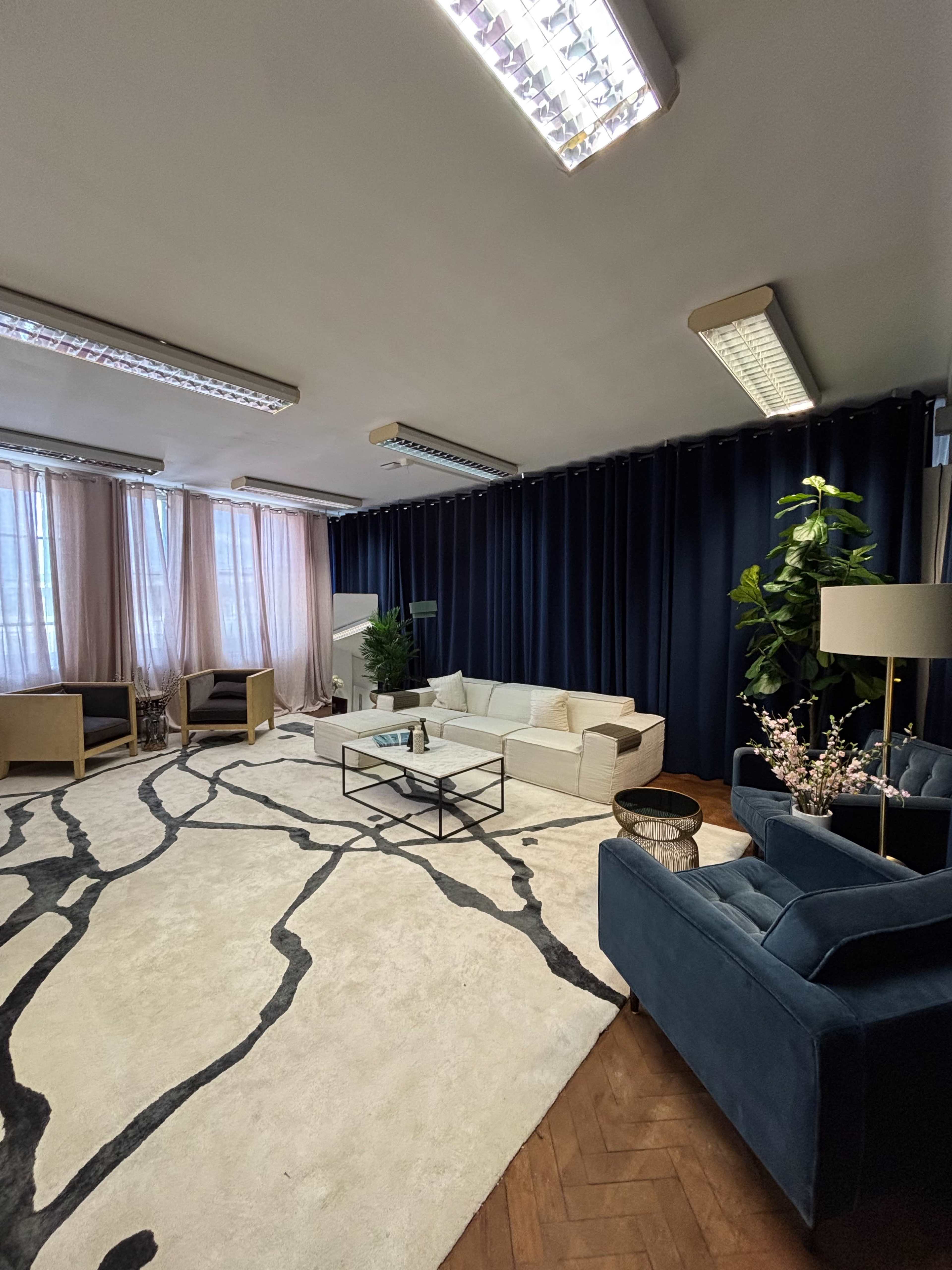 The image shows a modern interior space featuring a beige rug with a black abstract pattern, a light-colored sofa, a blue armchair, tall plants, and large windows with sheer curtains.