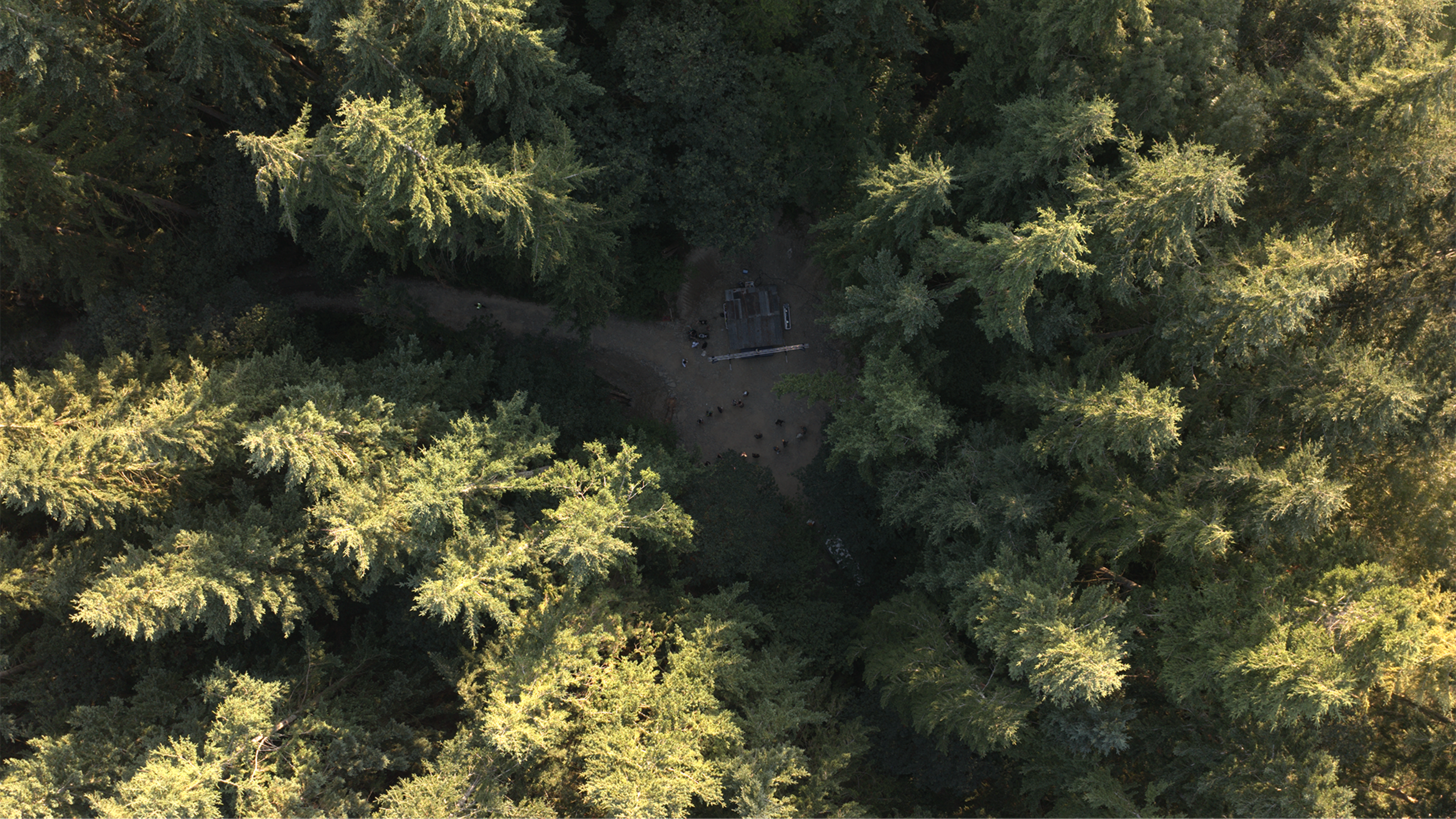 The image shows a dense forest from an overhead perspective, with a clearing and a group of people visible in the center.