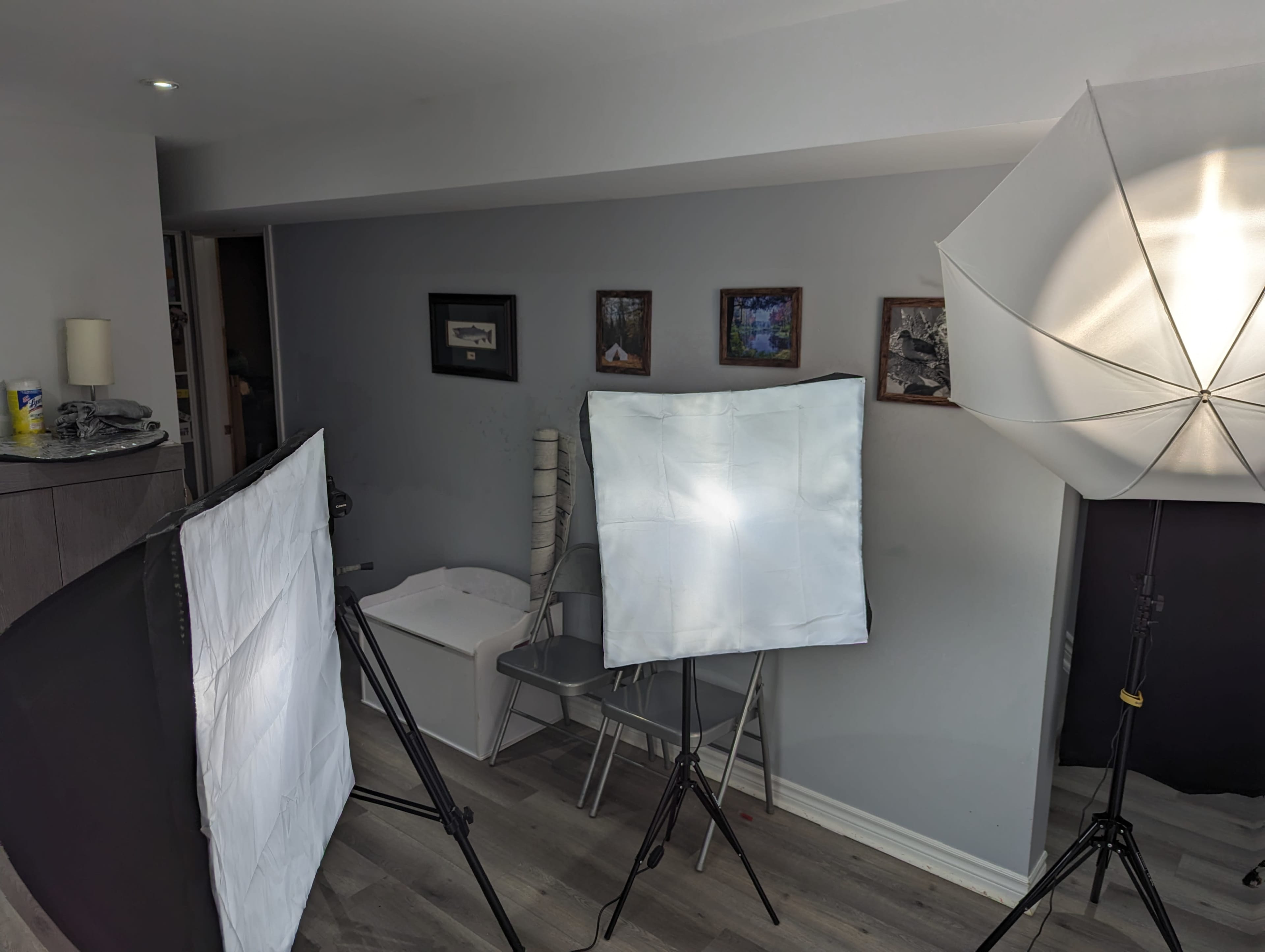 A photography setup in a room with softbox lights and backdrop, along with two folding chairs and framed pictures on the wall.