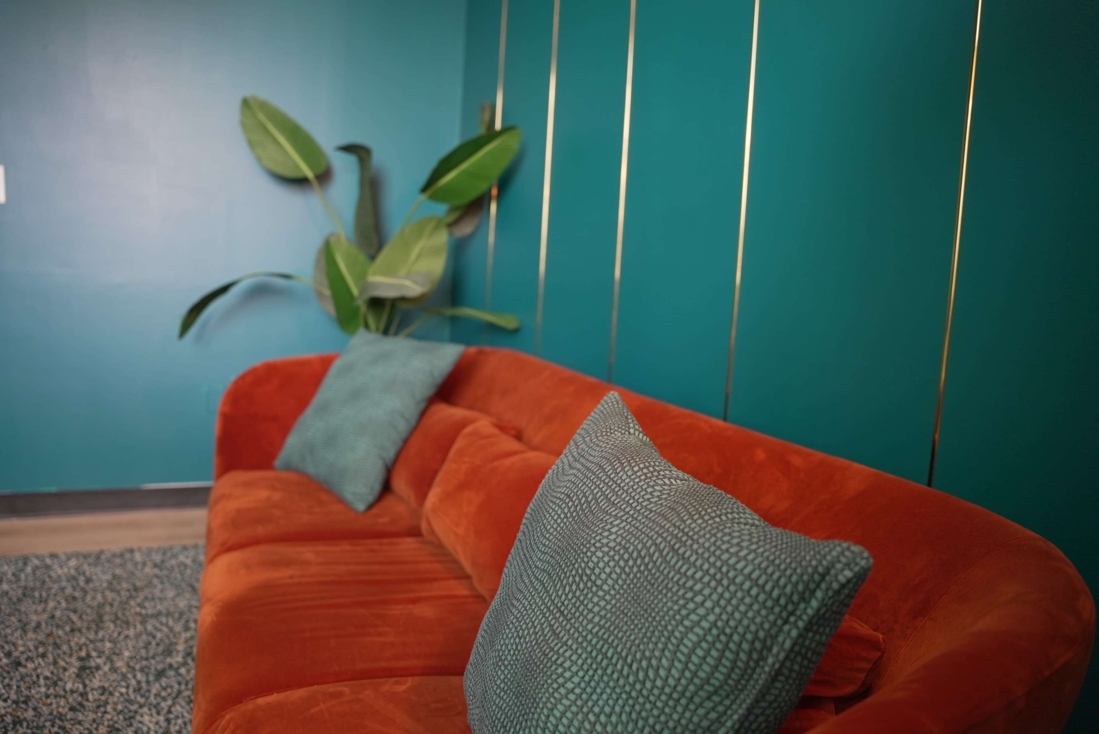 The image shows an orange sofa with teal accent pillows positioned against a teal wall with a large green plant nearby.