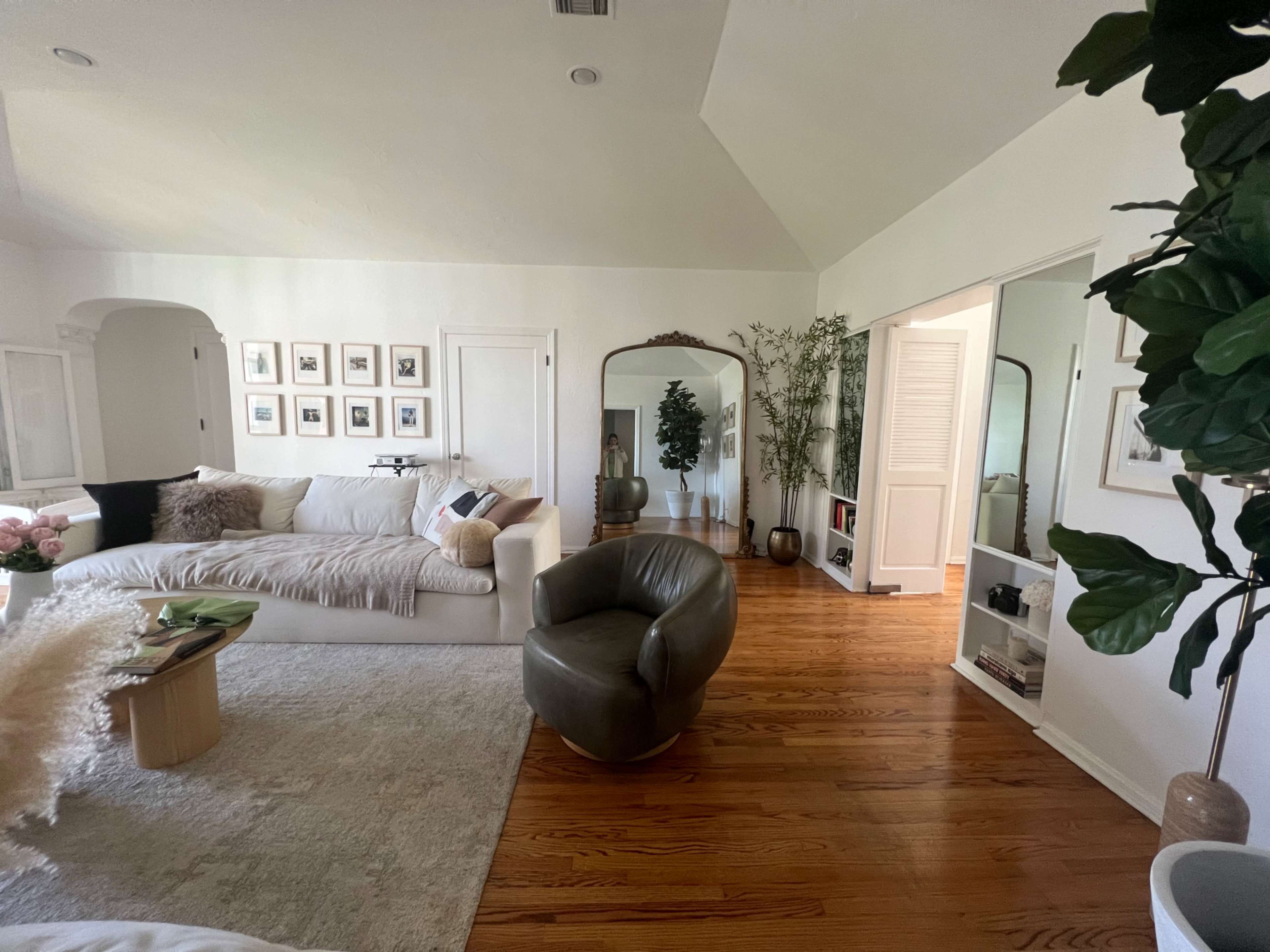 A spacious living room with wooden floors, a large sectional sofa, and a decorative plant in one corner.