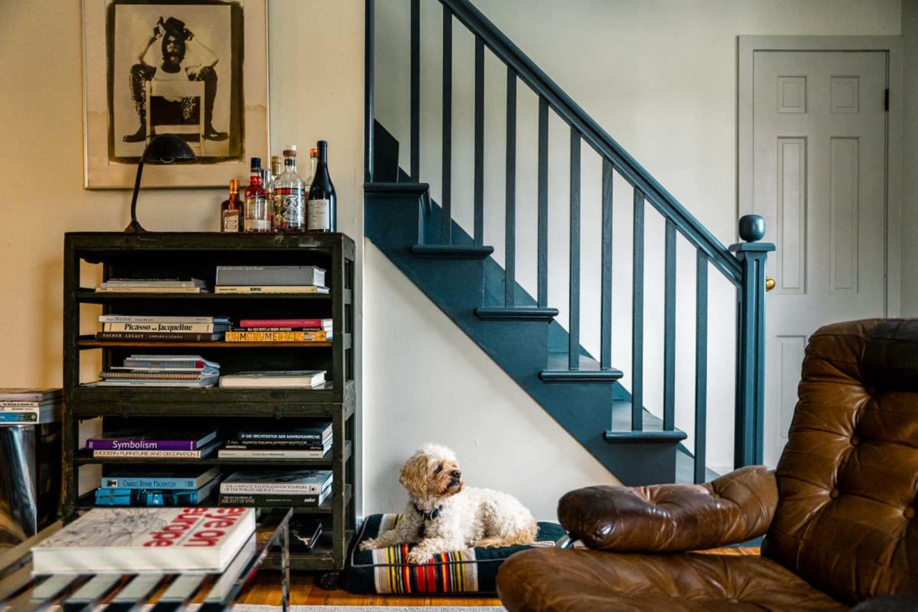A small dog sits on a patterned bed next to a bookshelf in a room with a staircase.