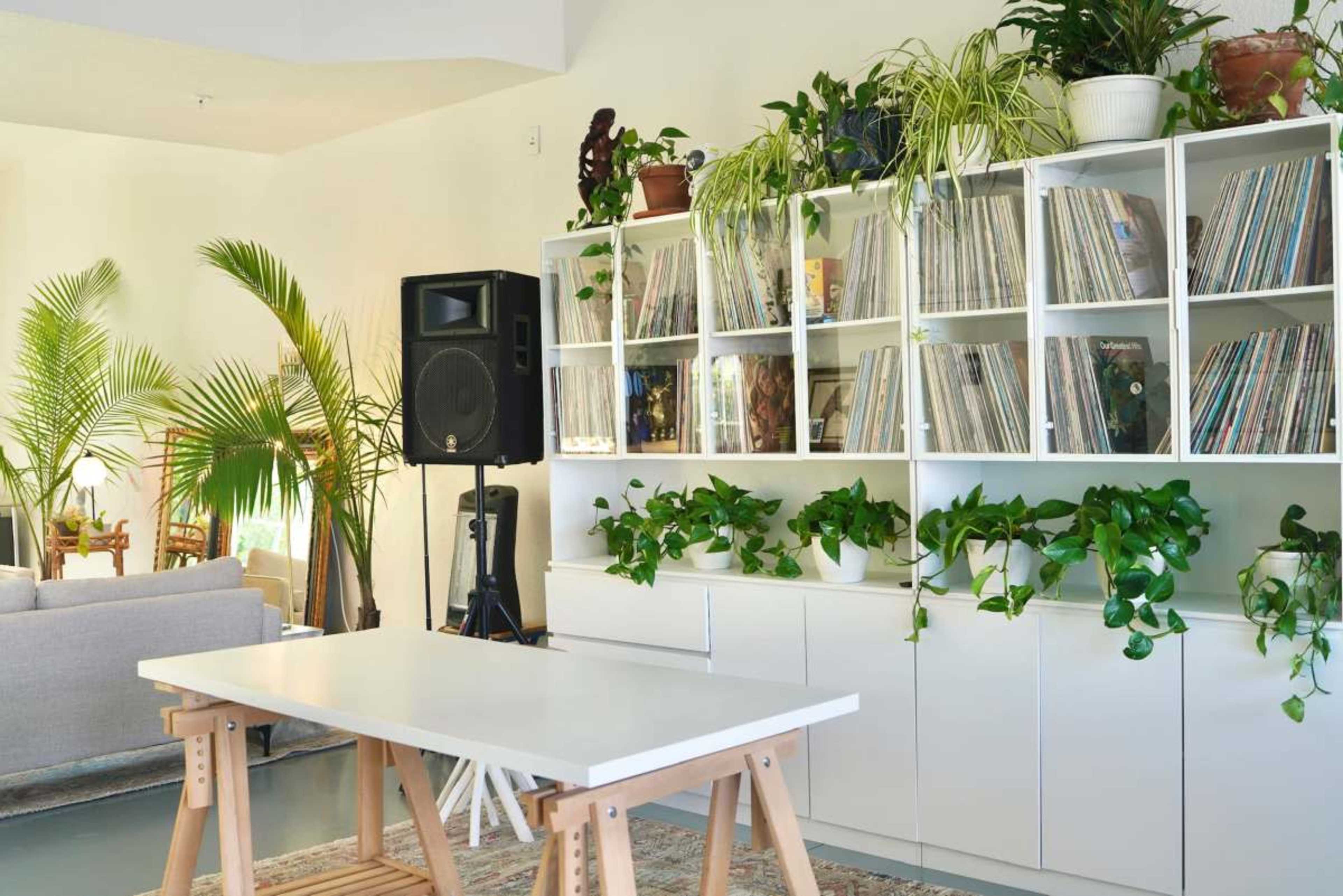 A bright room features a white shelving unit filled with vinyl records, surrounded by potted plants and a wooden table, with a speaker in one corner.