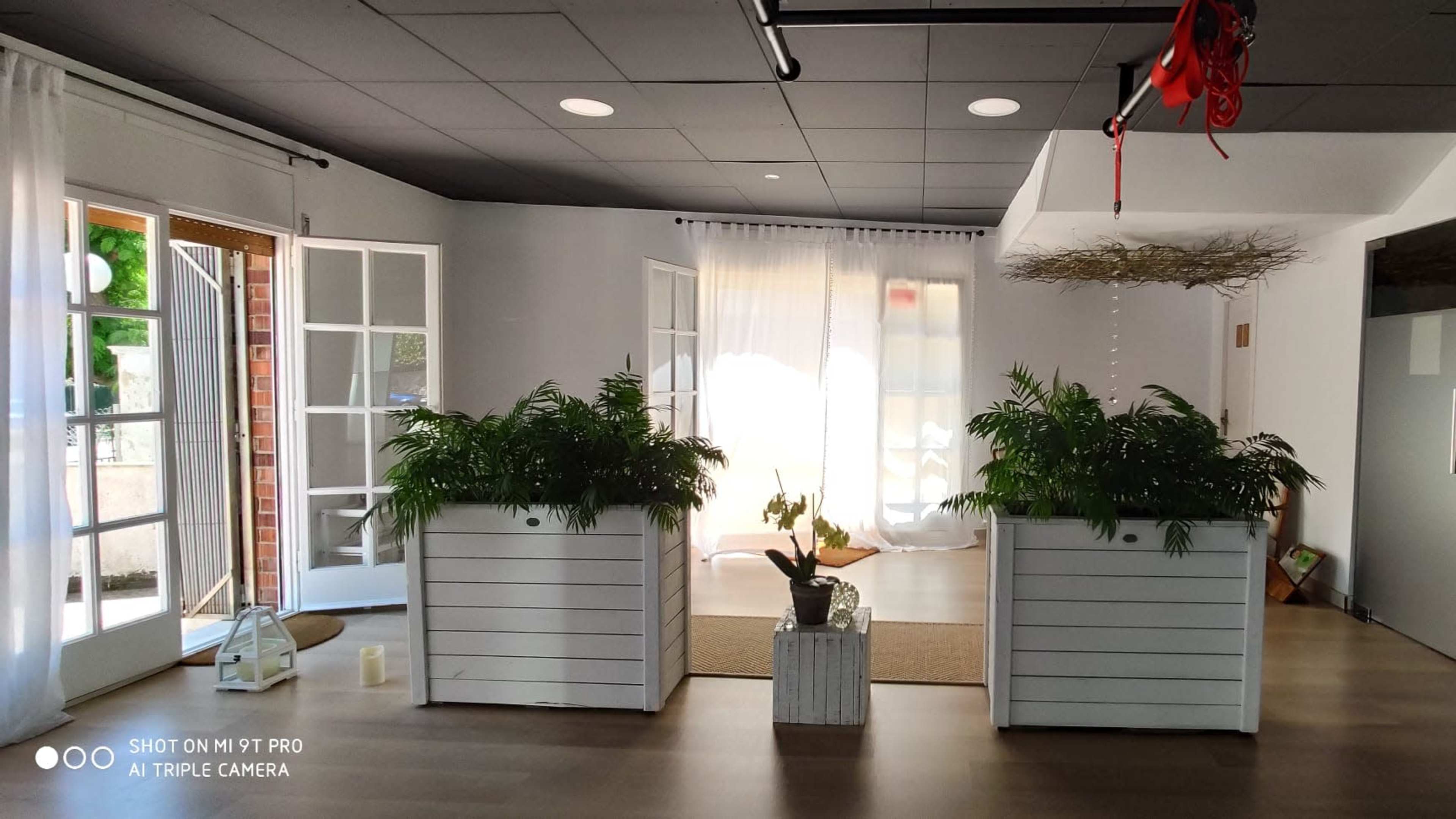 A bright, modern interior space featuring large windows, potted plants in white wooden planters, and a cozy area with a rug.