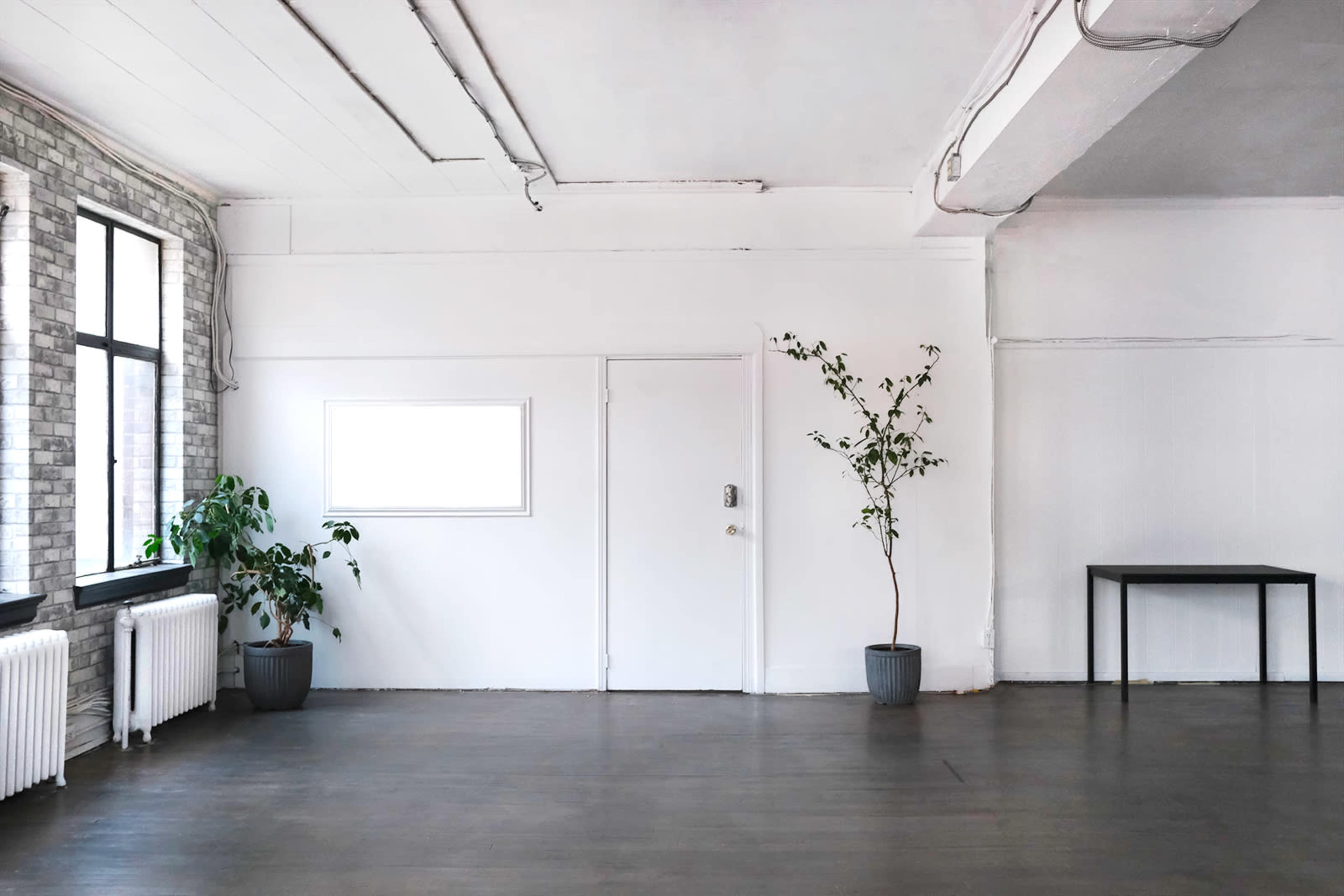 A spacious, minimally designed room features large windows, a potted plant, a door, and a simple table against a white wall.