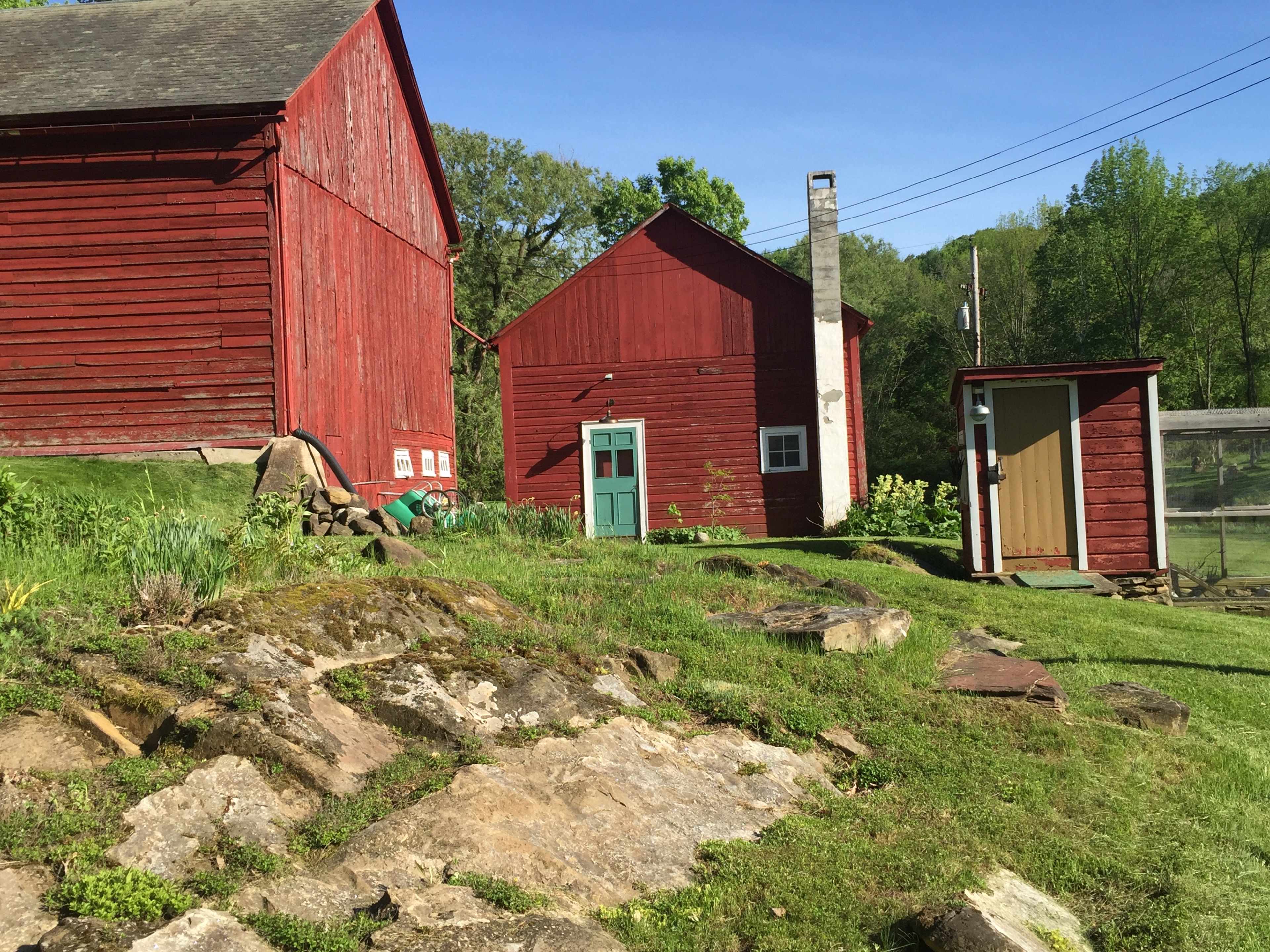 The image shows a cluster of red barns and a small shed surrounded by green grass and rocks.