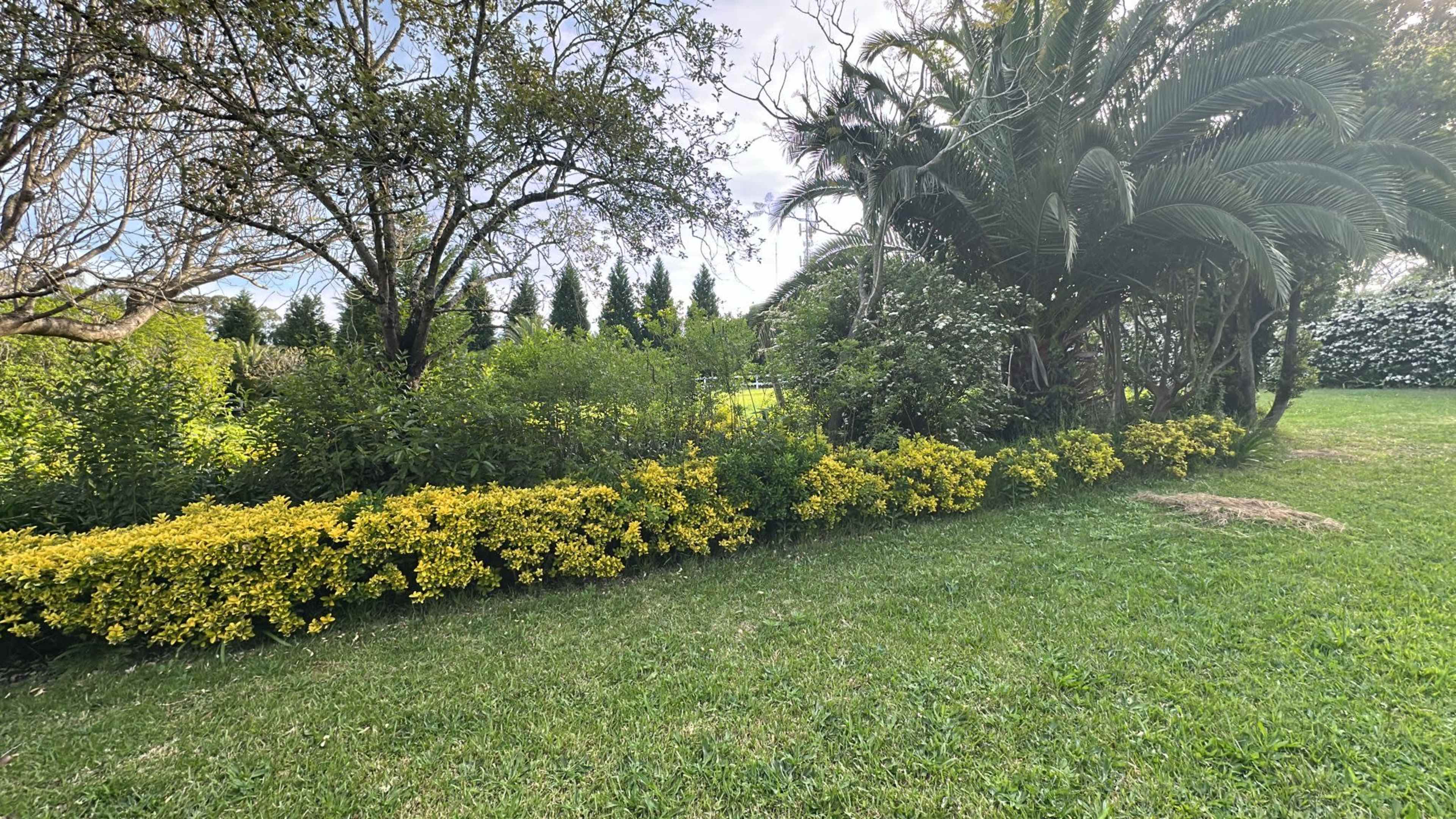 Dural paradise 1 Image in Dural, Dural, NSW