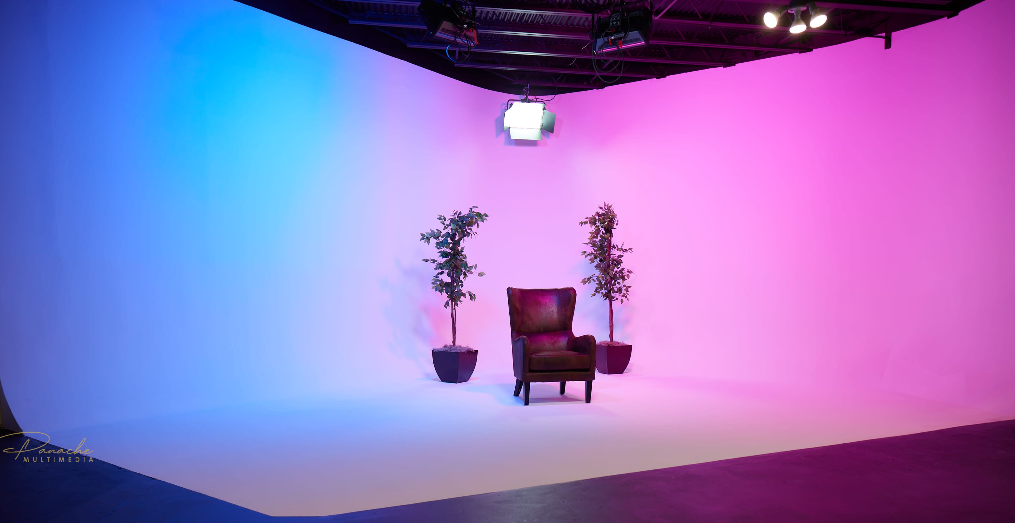 The image shows a stage setup featuring a single brown armchair flanked by two potted plants against a gradient background of pink and blue.