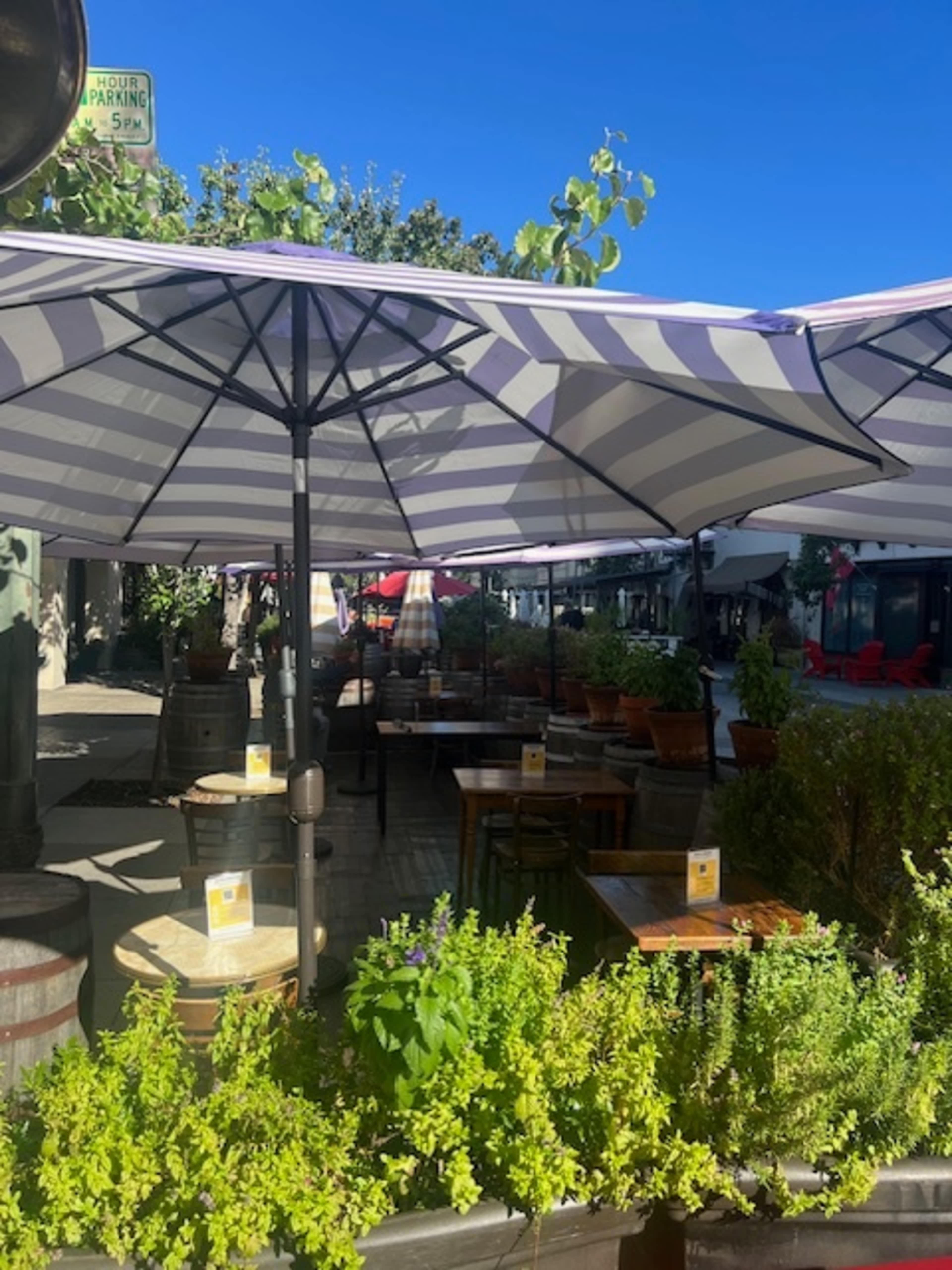 A row of outdoor tables with striped umbrellas is set up next to lush greenery in a sunlit courtyard.