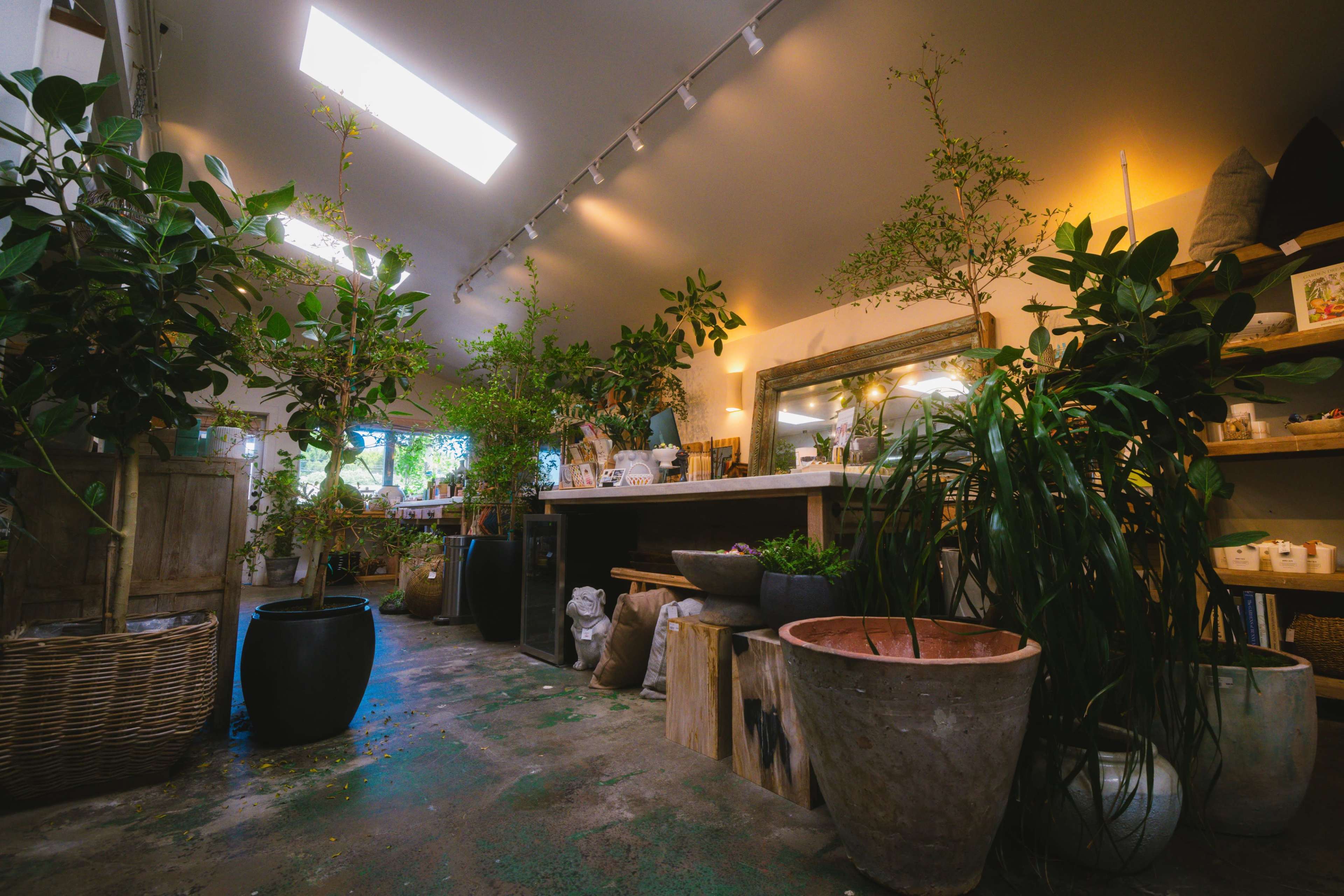 The image depicts an indoor plant shop filled with various potted plants, shelving displays, and natural light streaming in from skylights.