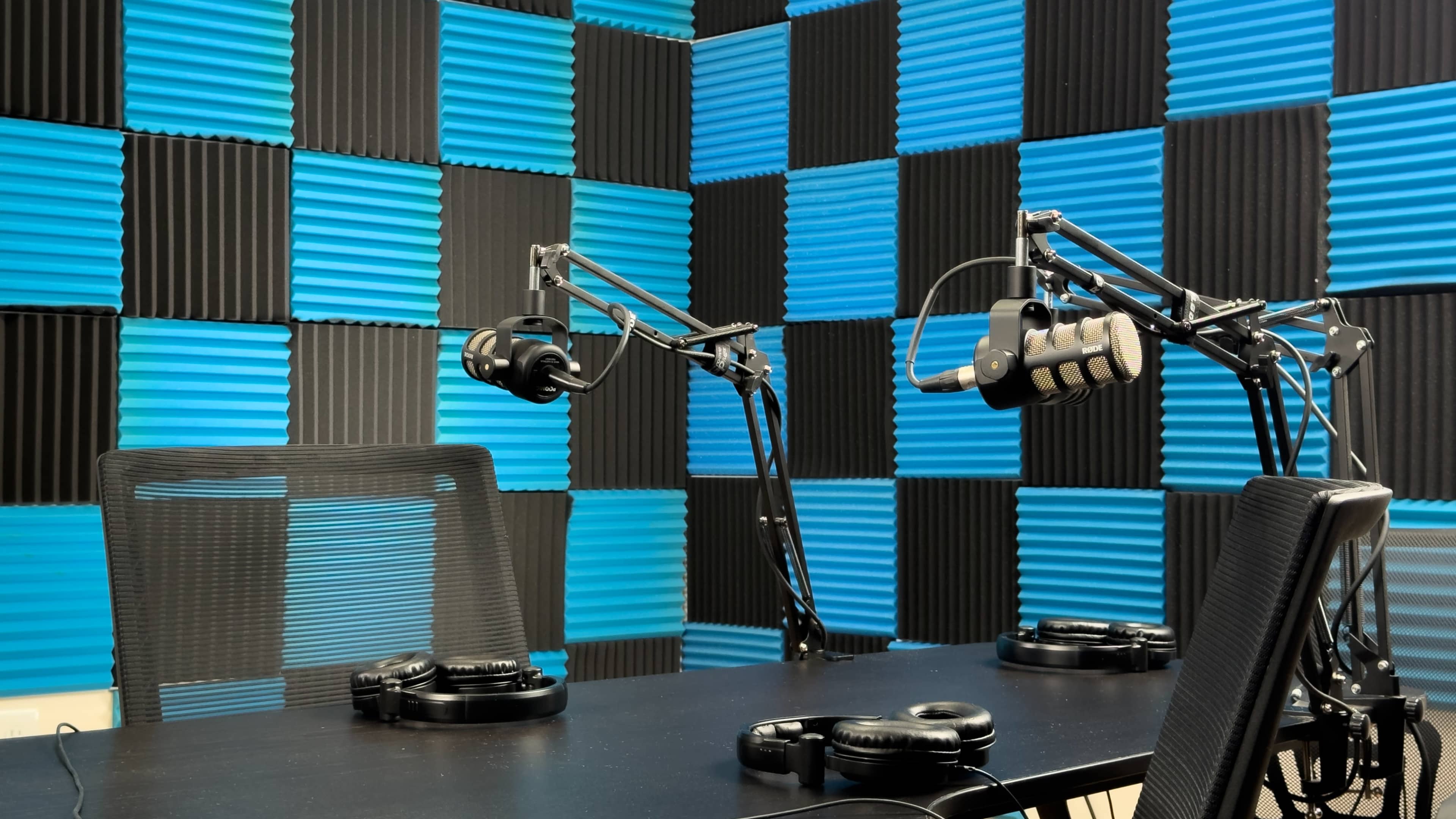 Cozy Podcast Studio in Tampa Image in Lutz, Lutz, FL