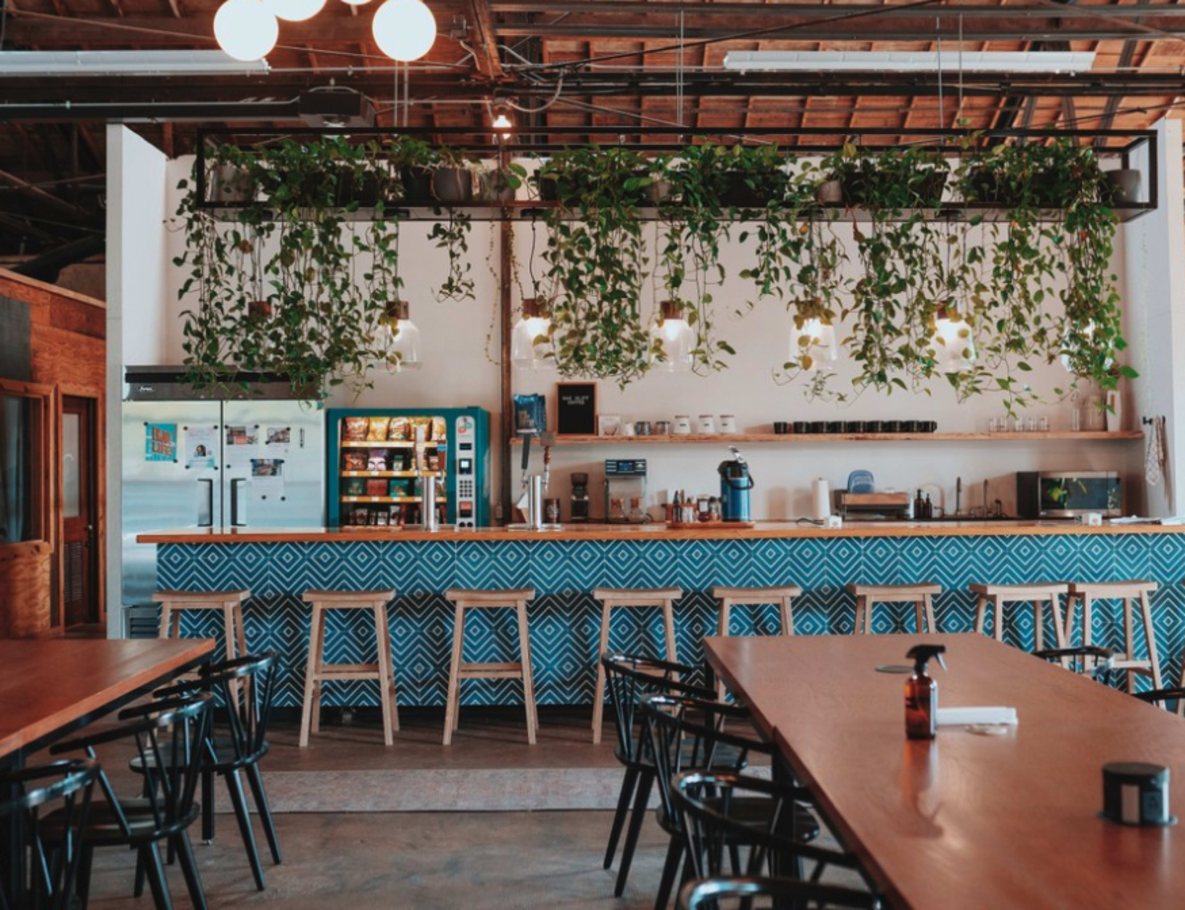 A modern café interior with a patterned blue tile bar, wooden tables, and hanging plants above.