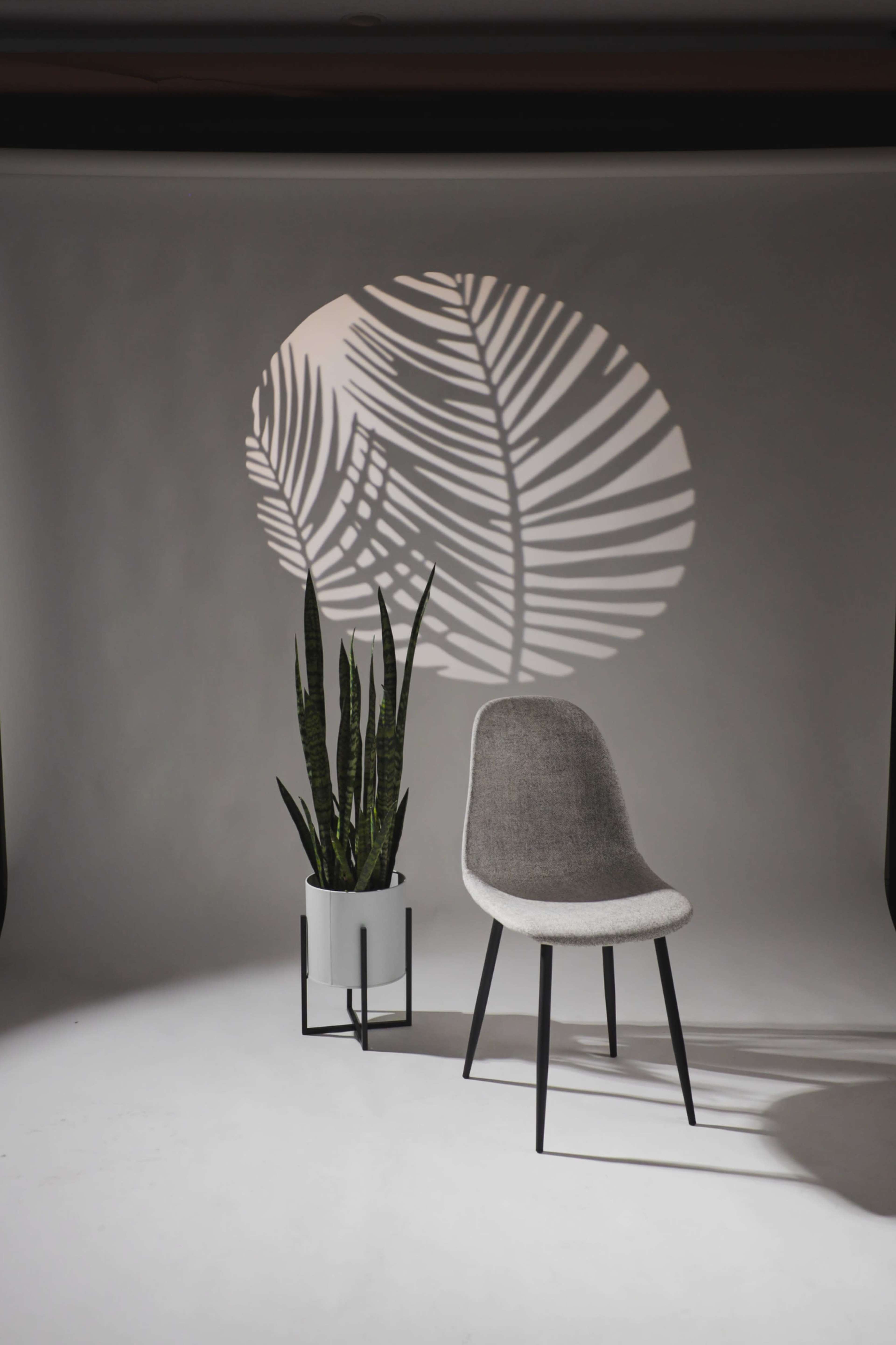 Versatile Photo Studio w/ Lighting, Backdrops & Creative Props Image in Brandon, Brandon, FL