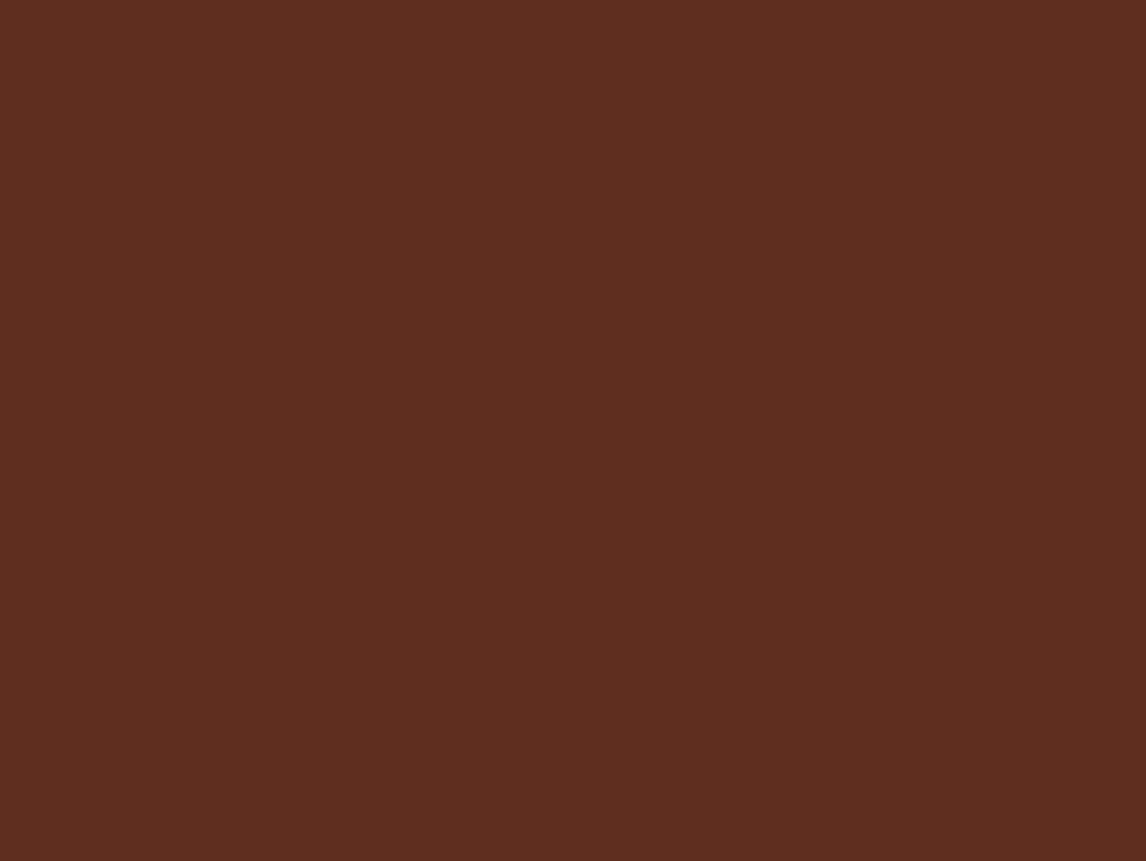 Dark Brown Backdrop