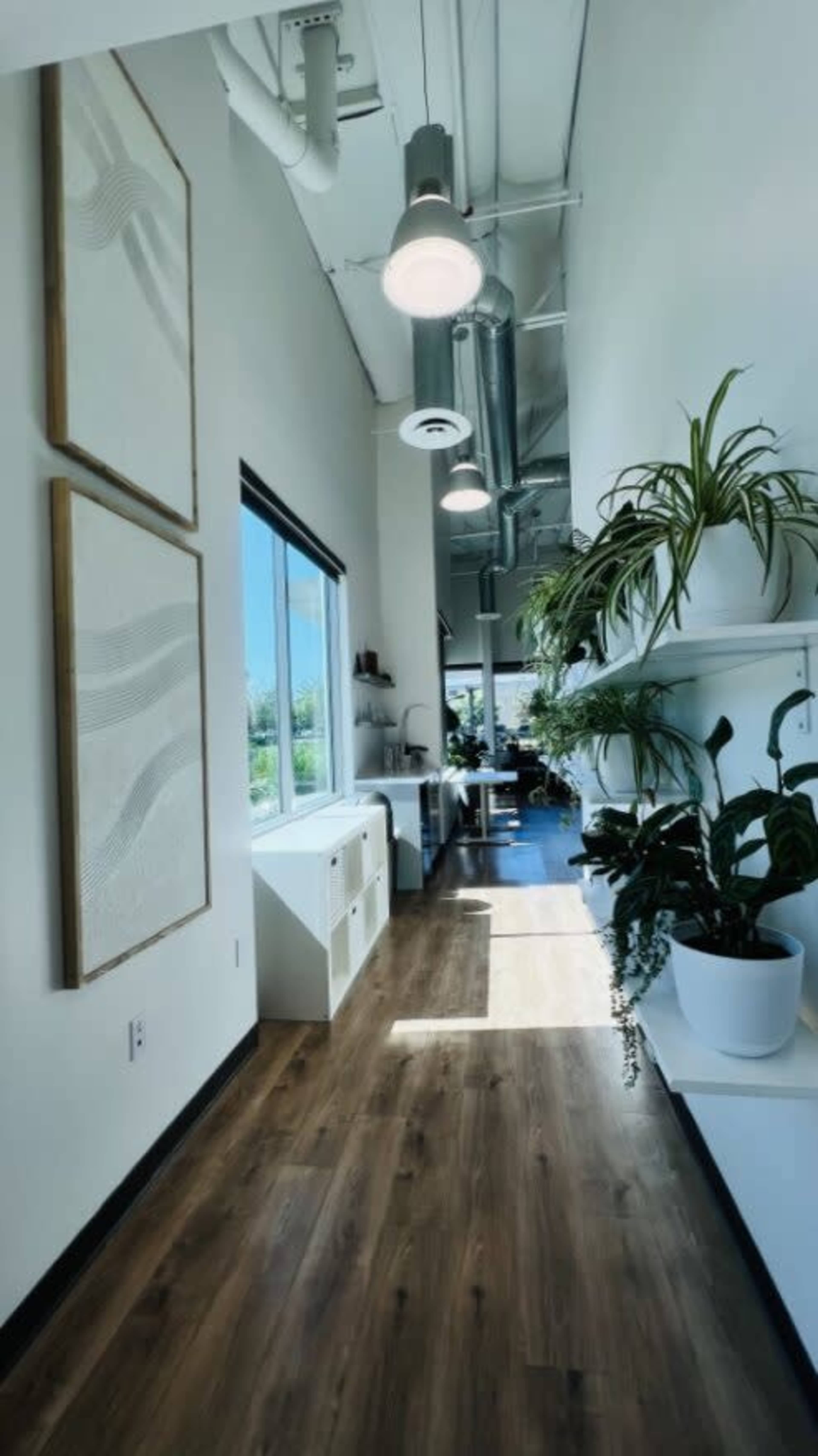 A narrow, well-lit corridor adorned with two framed artworks, leading to an open space with plants and modern furniture.