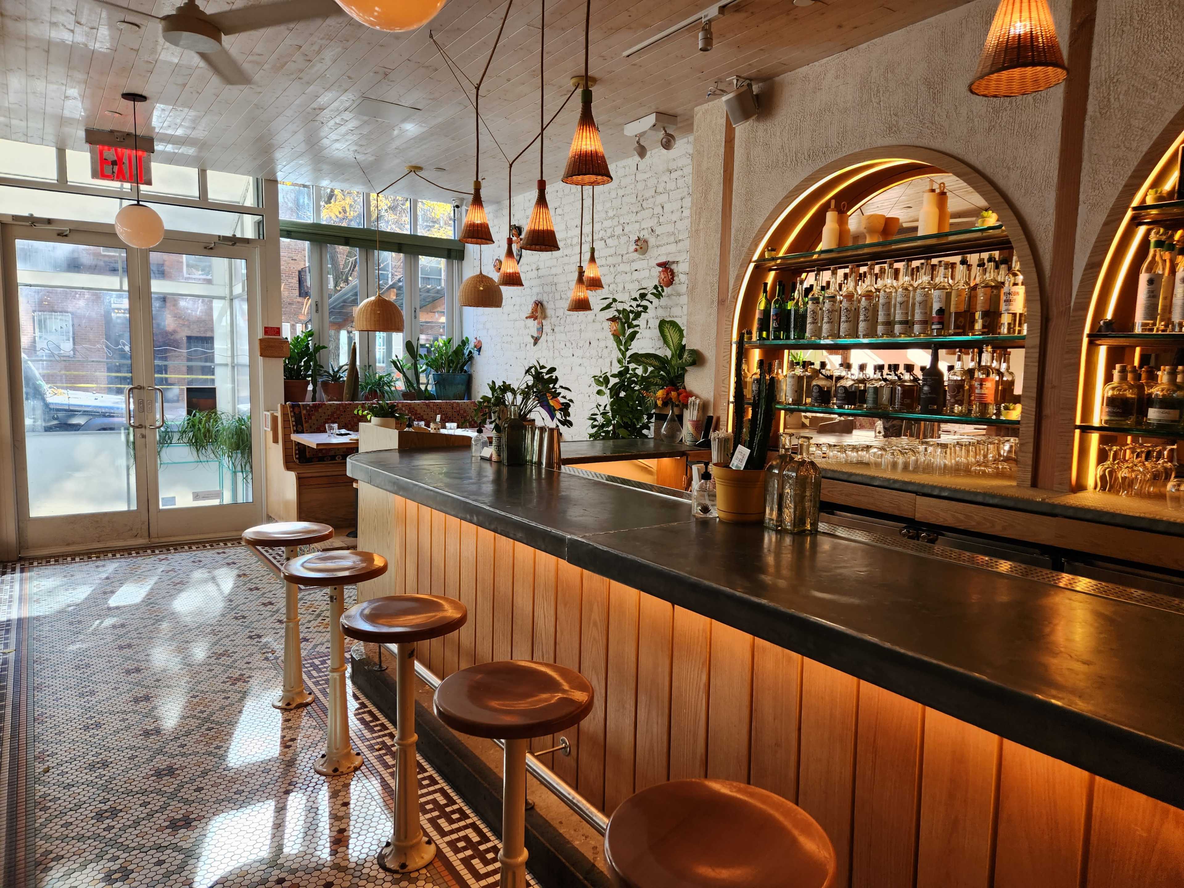 A brightly lit bar area with wooden seating and shelves stocked with various bottles, surrounded by plants.