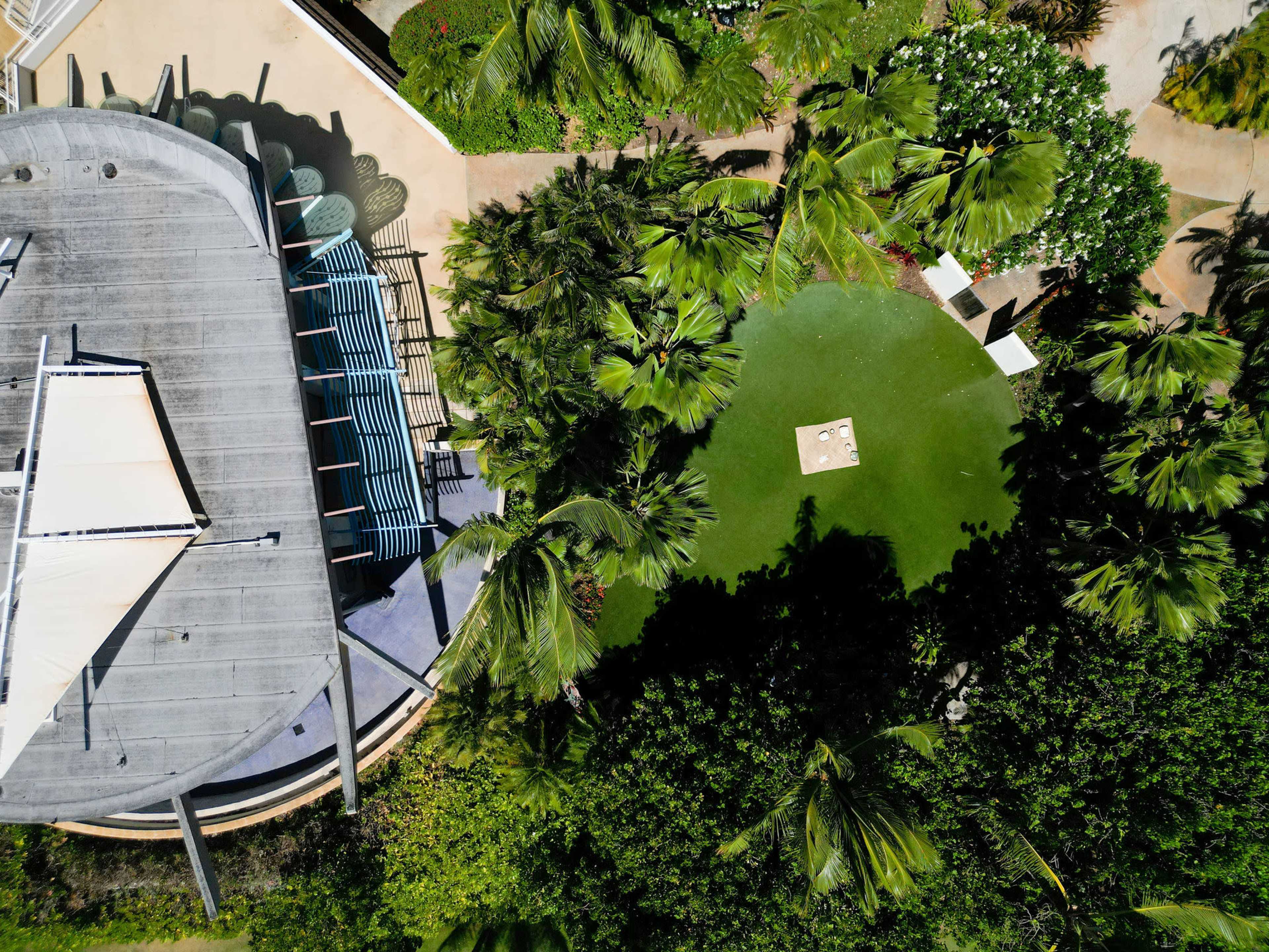 The image shows an aerial view of a circular grassy area surrounded by palm trees, with a modern building partially visible on the left side.