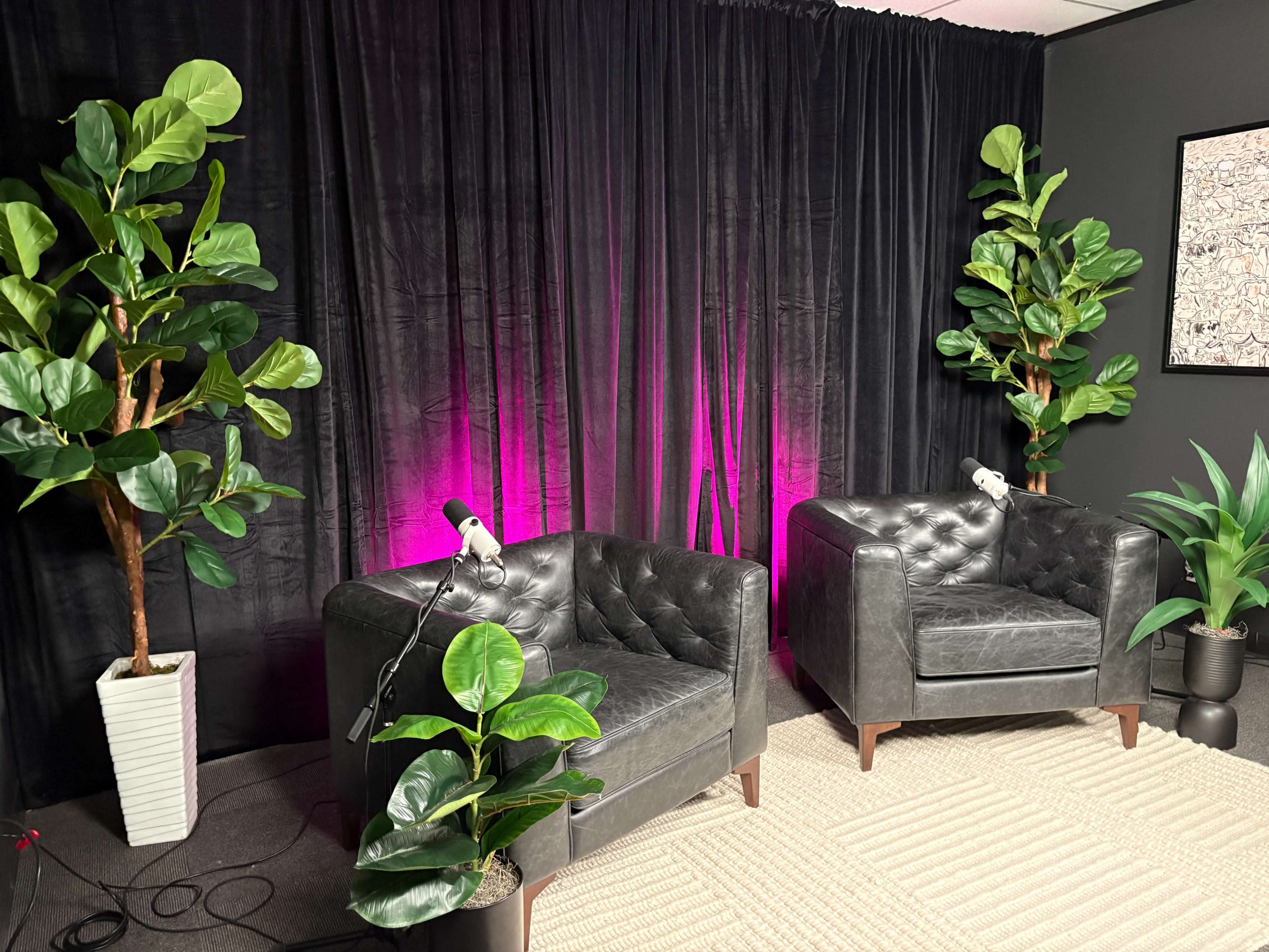 The image shows a focused interview setup with two grey upholstered armchairs, potted plants on either side, and a black curtain backdrop lit with pink hues.