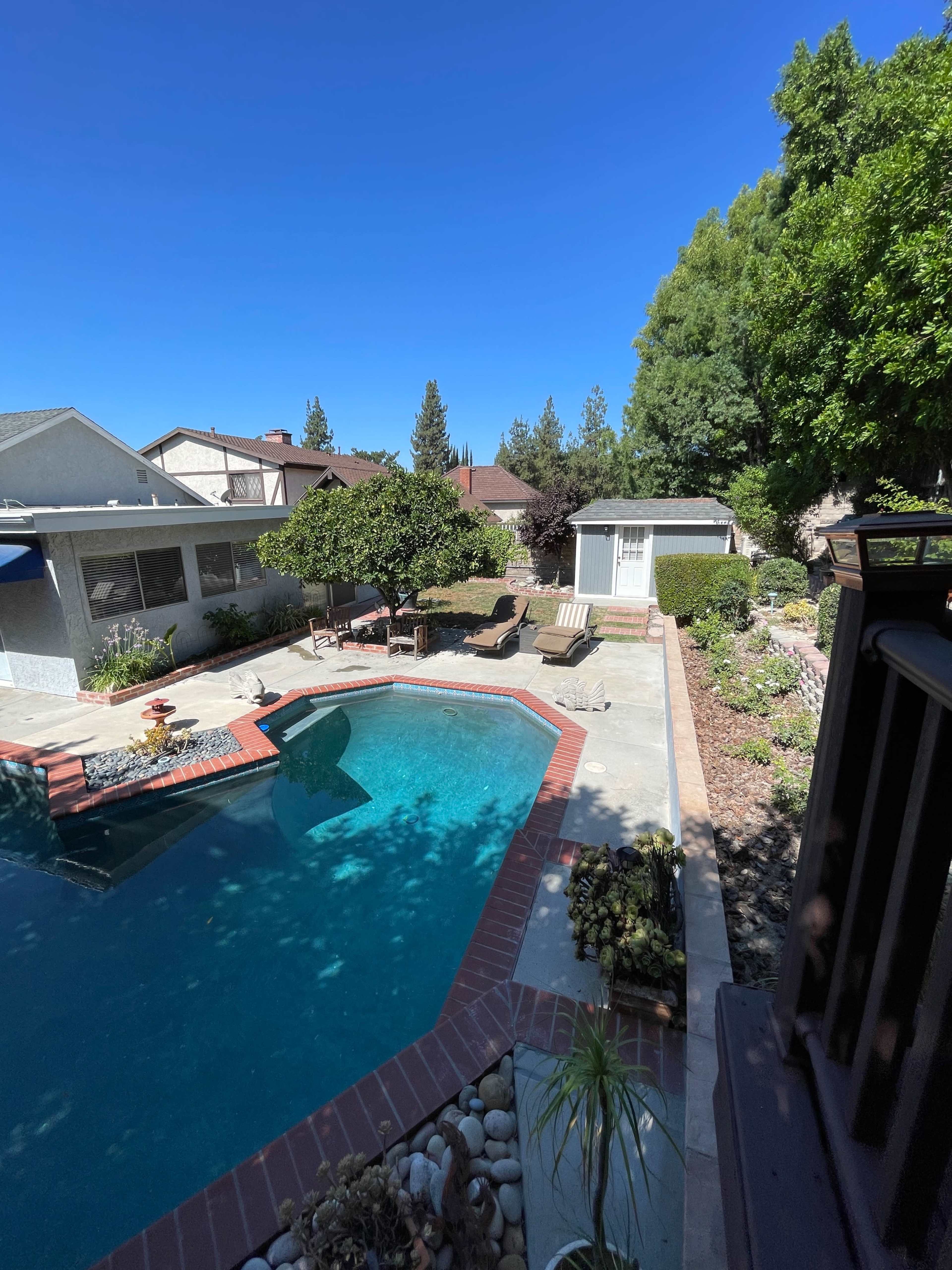 A backyard with a swimming pool, lounge chairs, and a small shed surrounded by greenery and landscaping.