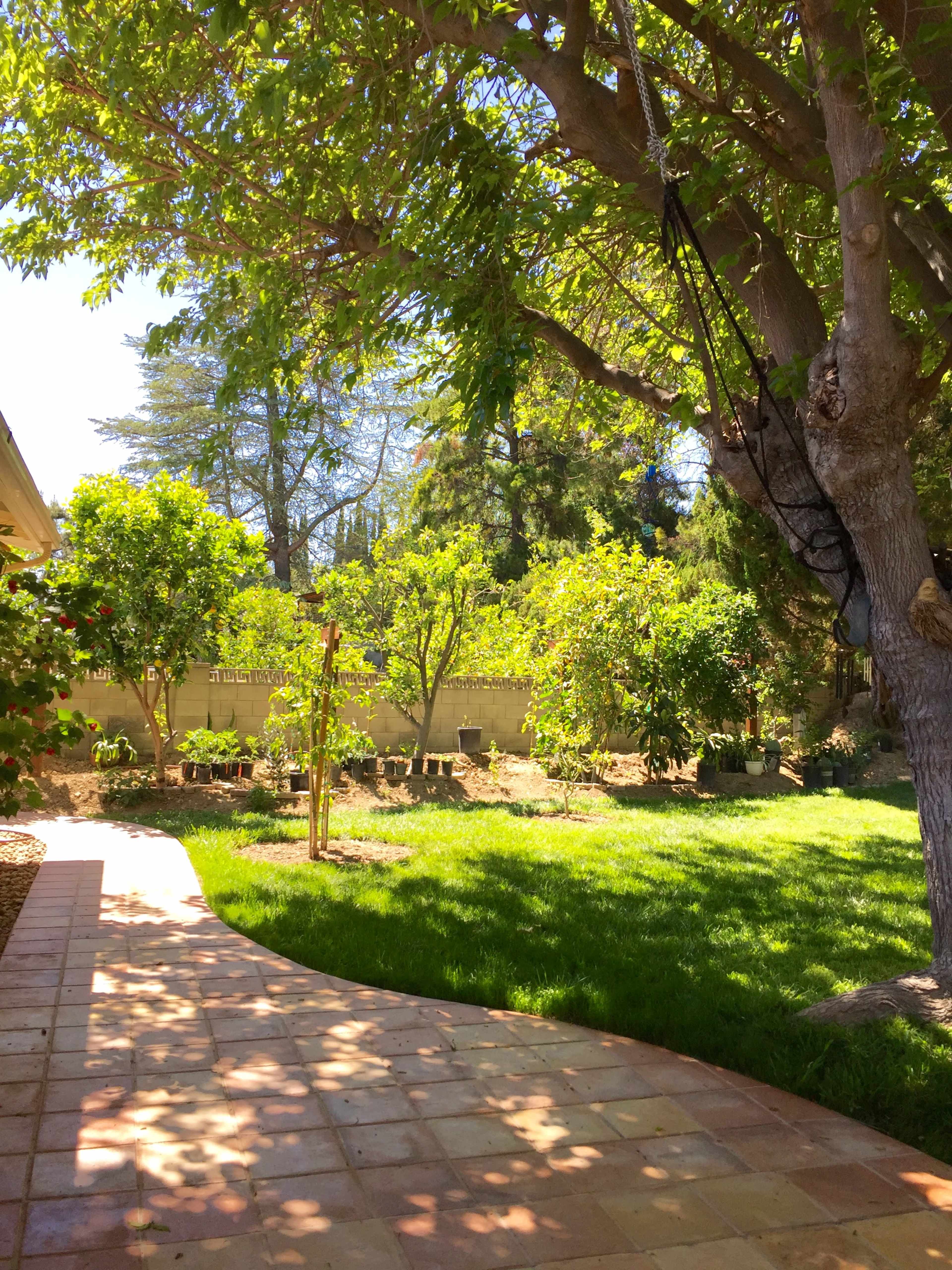 A pathway curves through a grassy backyard surrounded by trees and shrubs.