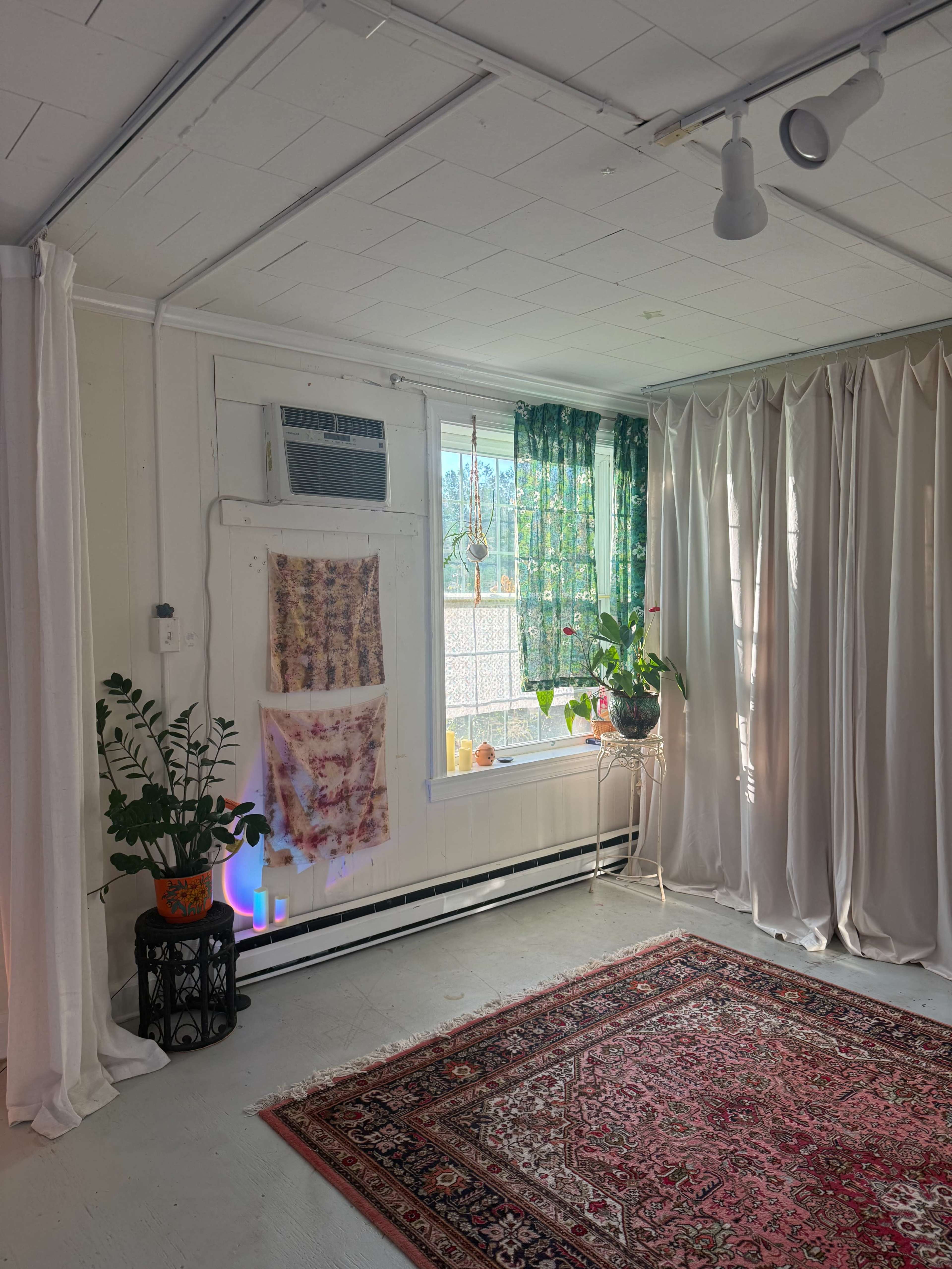 The image shows a bright room with a patterned rug, potted plants, sheer curtains, and wall hangings near a window.