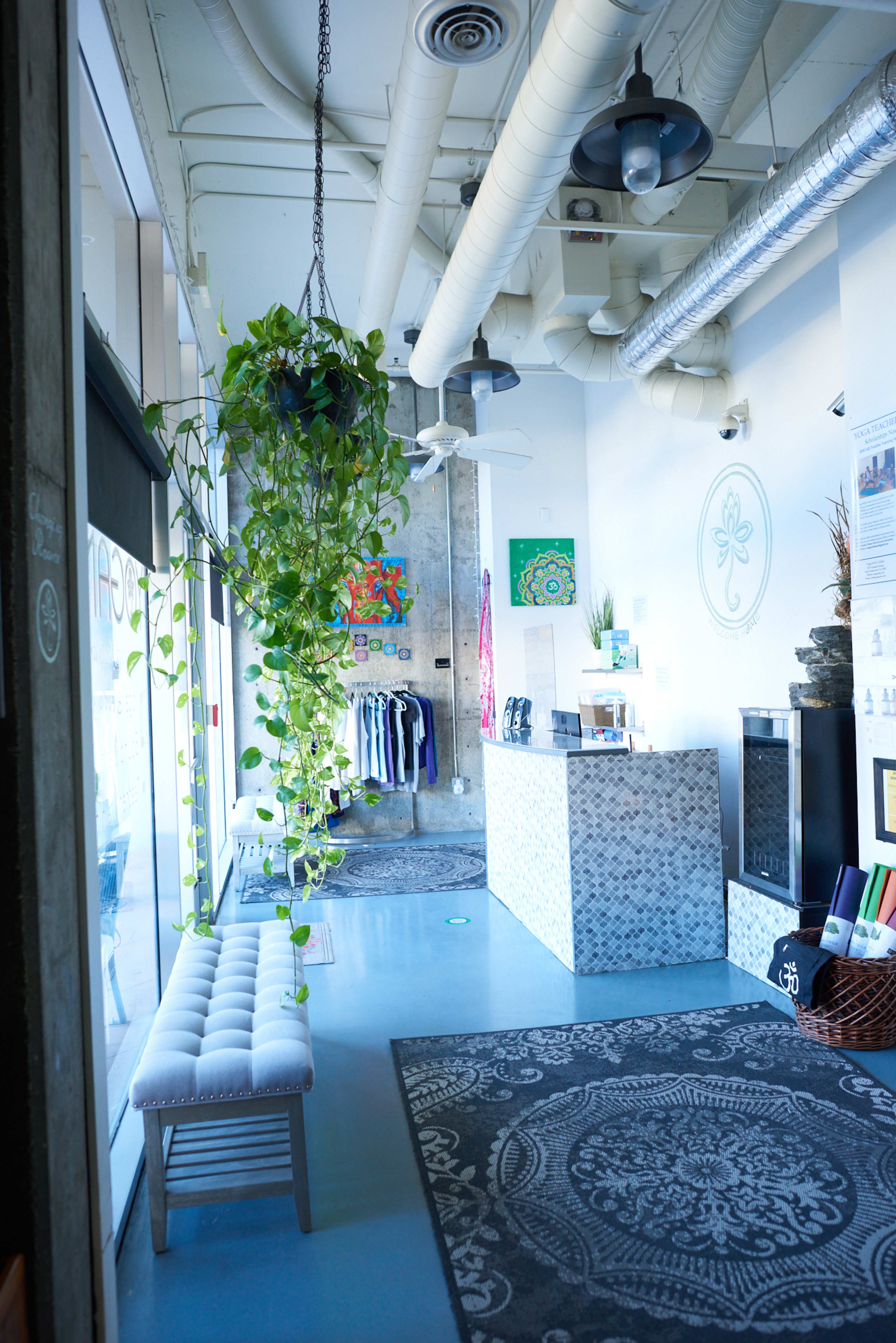 A modern retail space with a reception desk, clothing display, and a hanging plant above a bench.