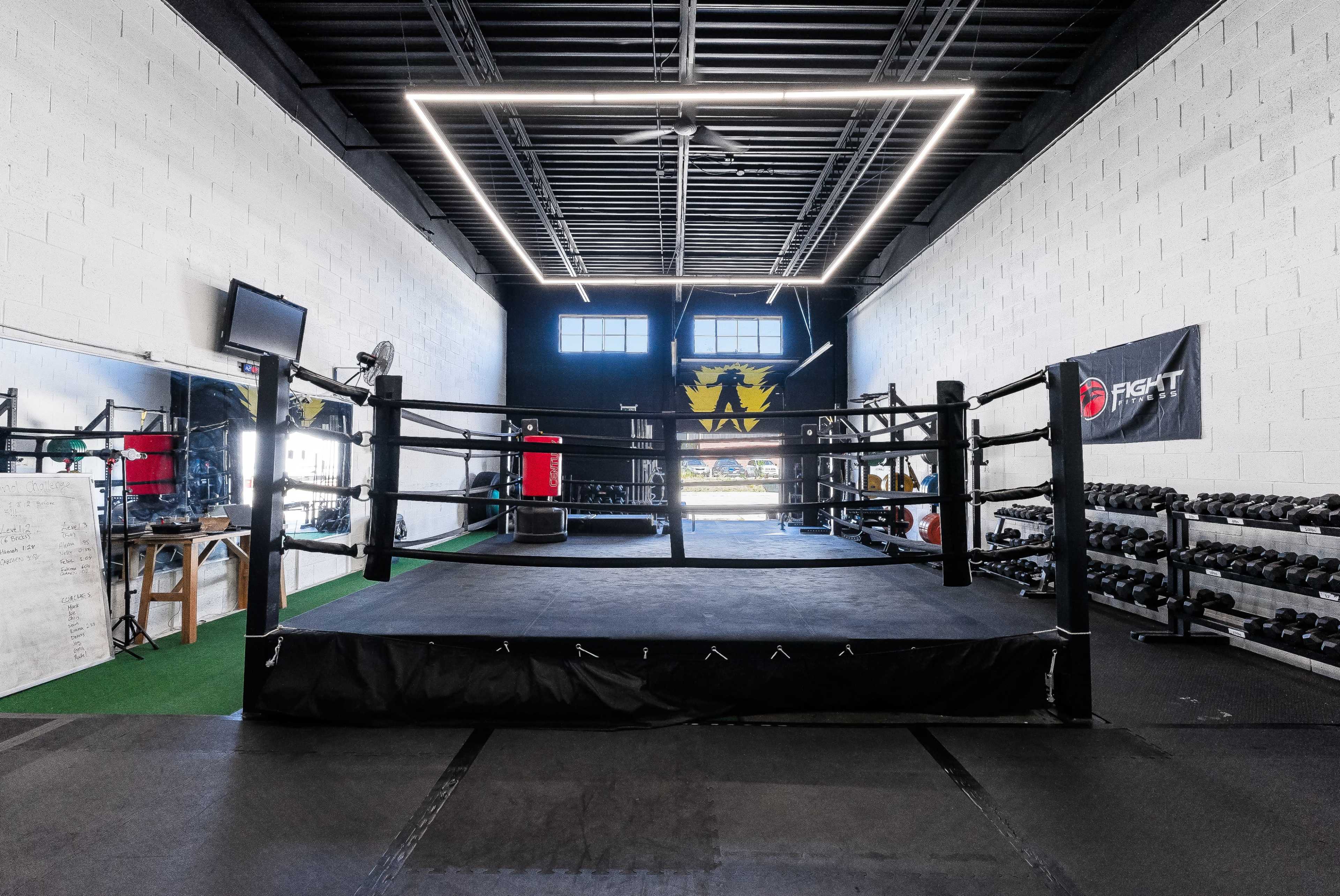 An indoor boxing gym featuring a central boxing ring, lined weights on the wall, a TV monitor, and large windows providing natural light.