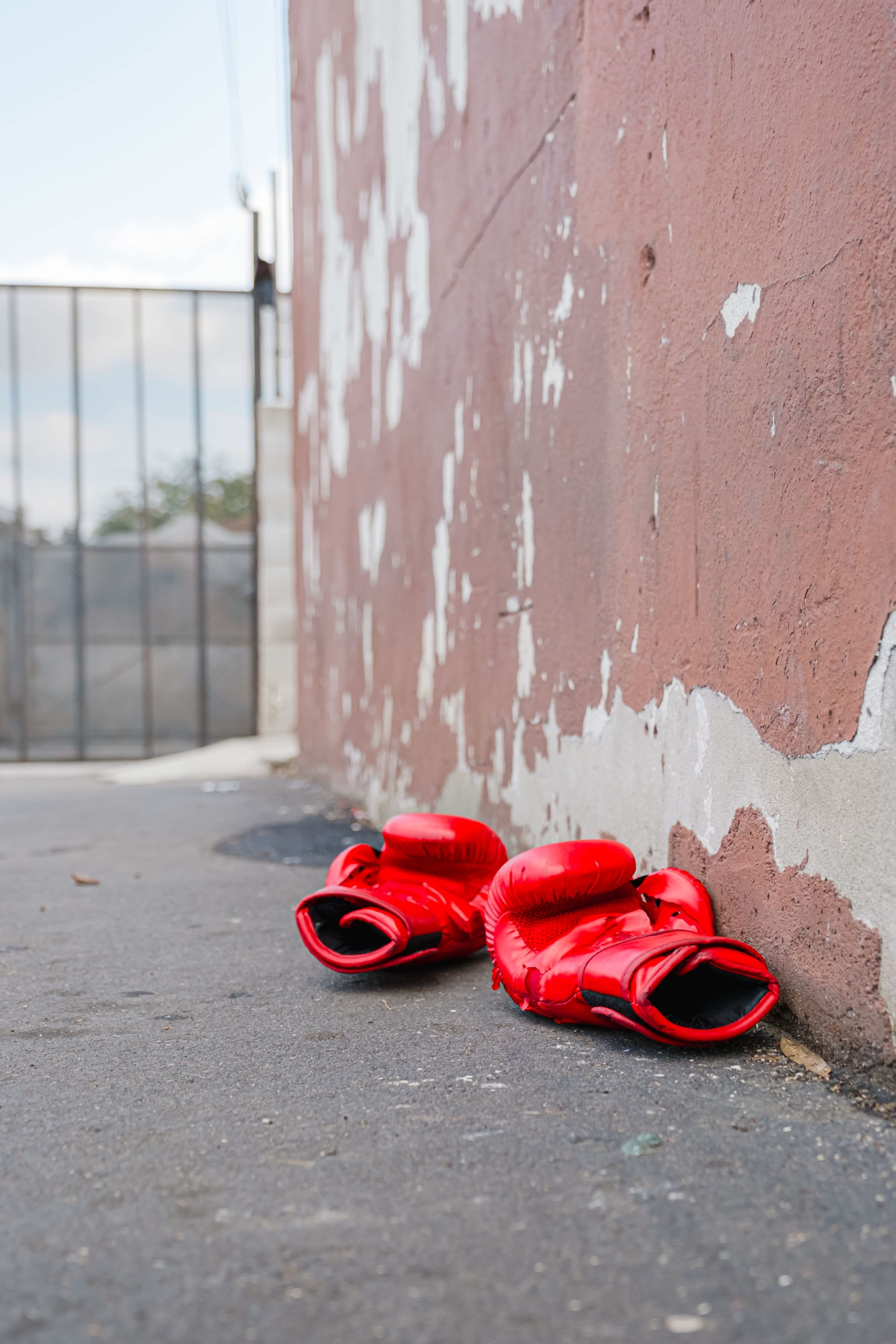 DYNAMIC BOXING GYM ACTION-PACKED SCENES Image in Lynwood, Lynwood, CA
