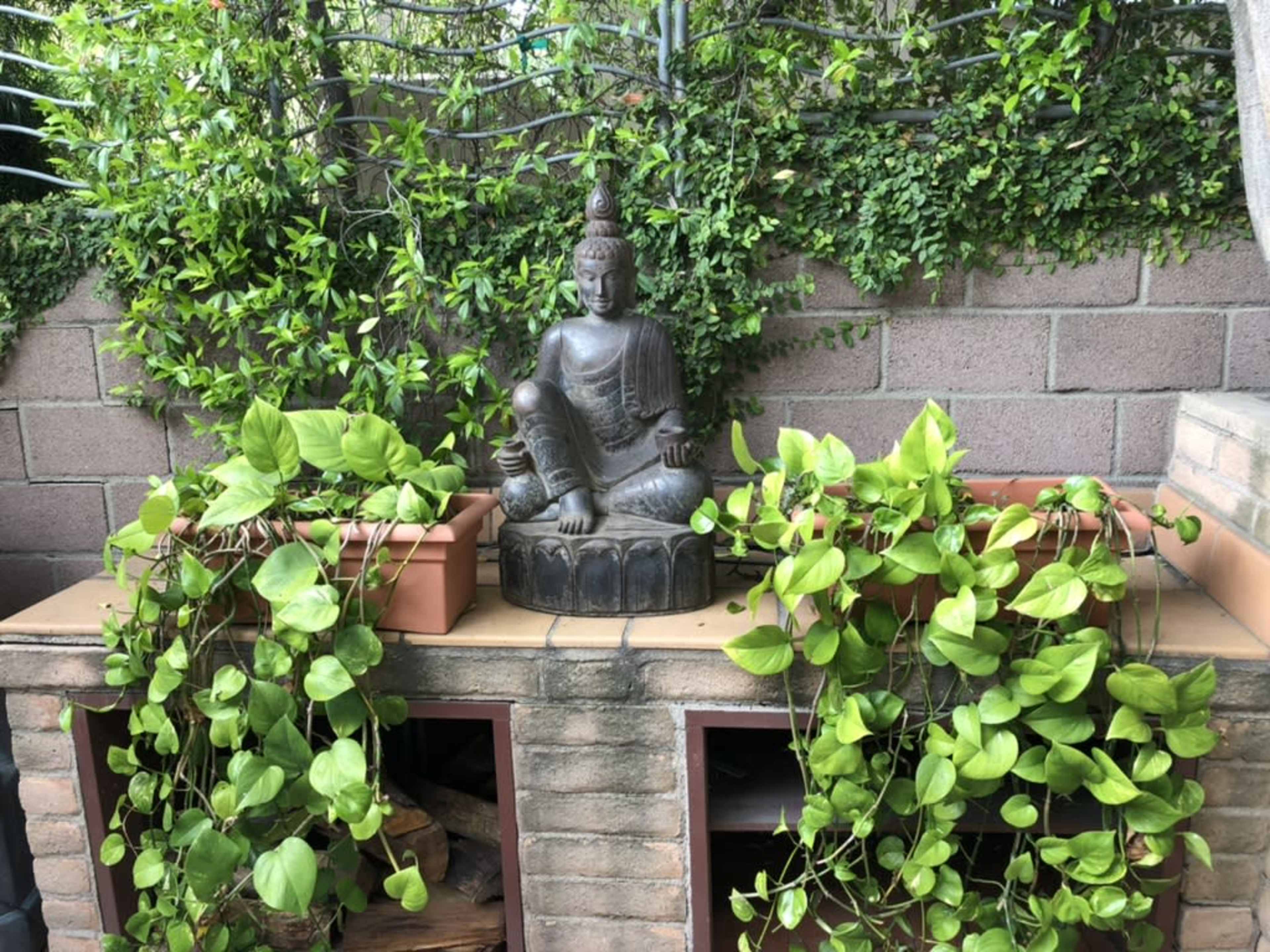 A seated Buddha statue is placed on a stone platform surrounded by green plants in pots against a brick wall.