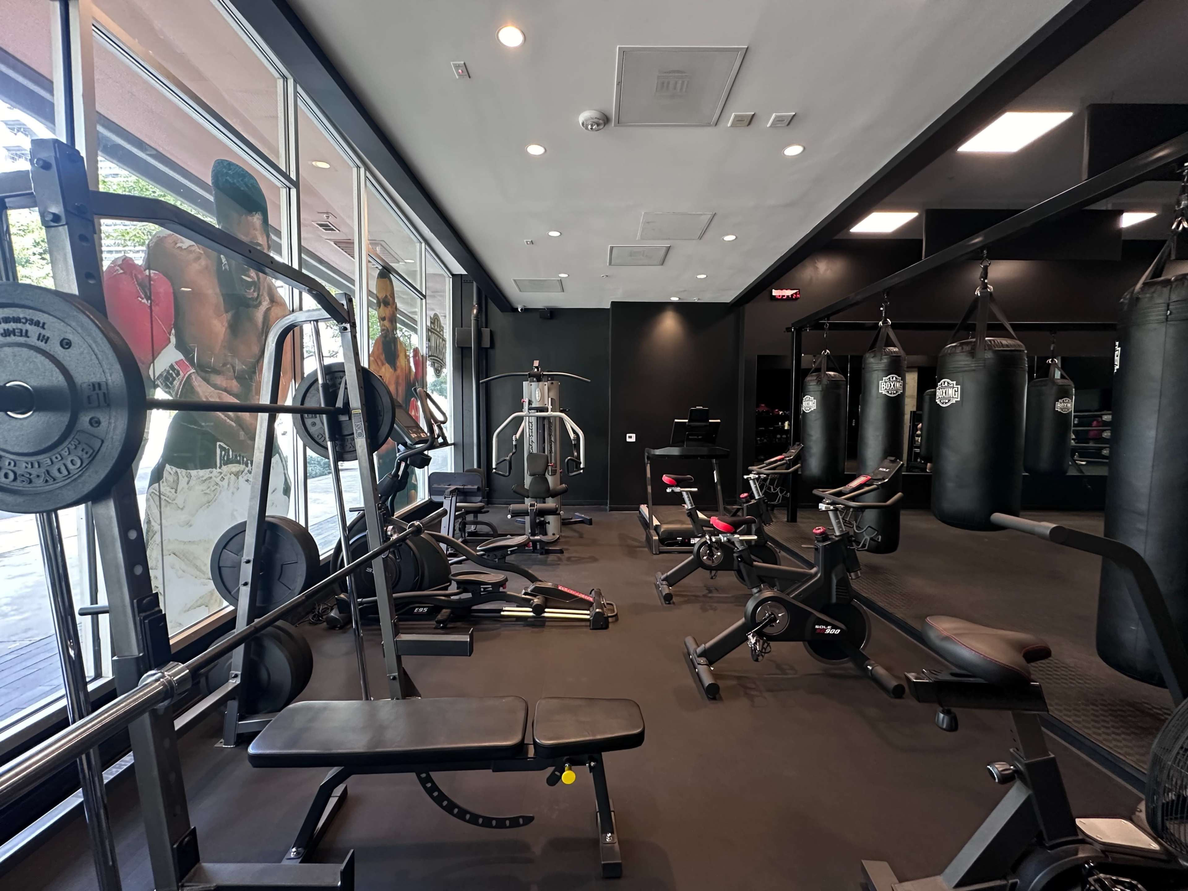 The image shows an indoor gym filled with various fitness equipment, including weight benches, punching bags, and exercise machines, with large windows displaying a mural of a boxer.
