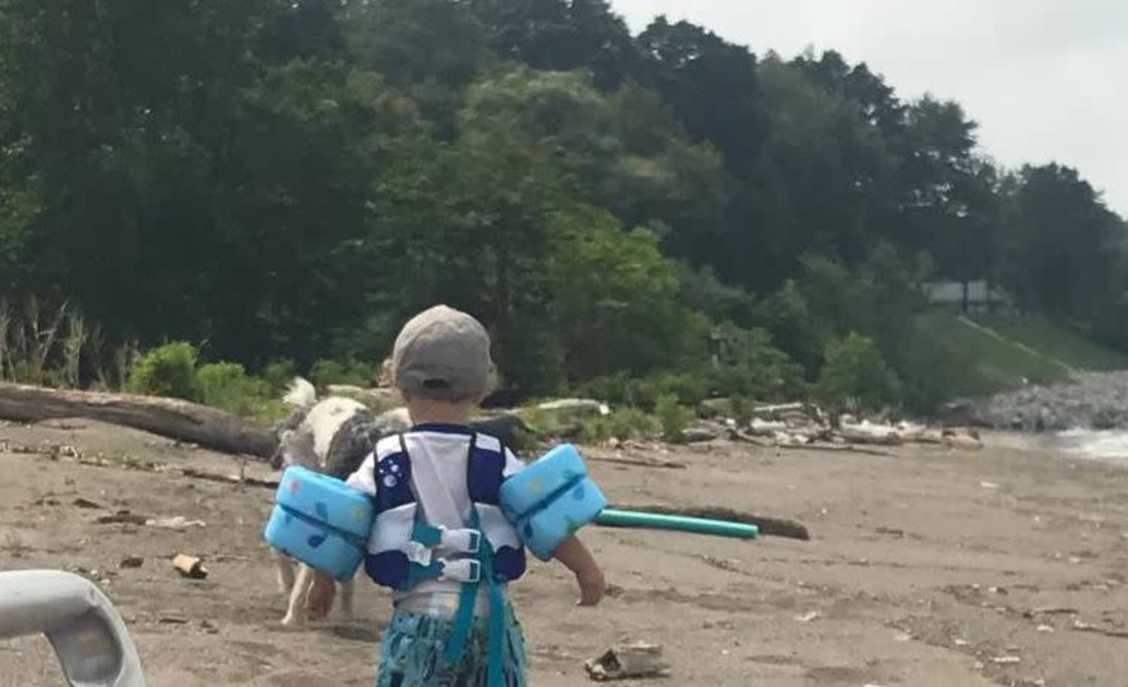 A child wearing swim floaties walks along a sandy beach while a dog explores nearby.