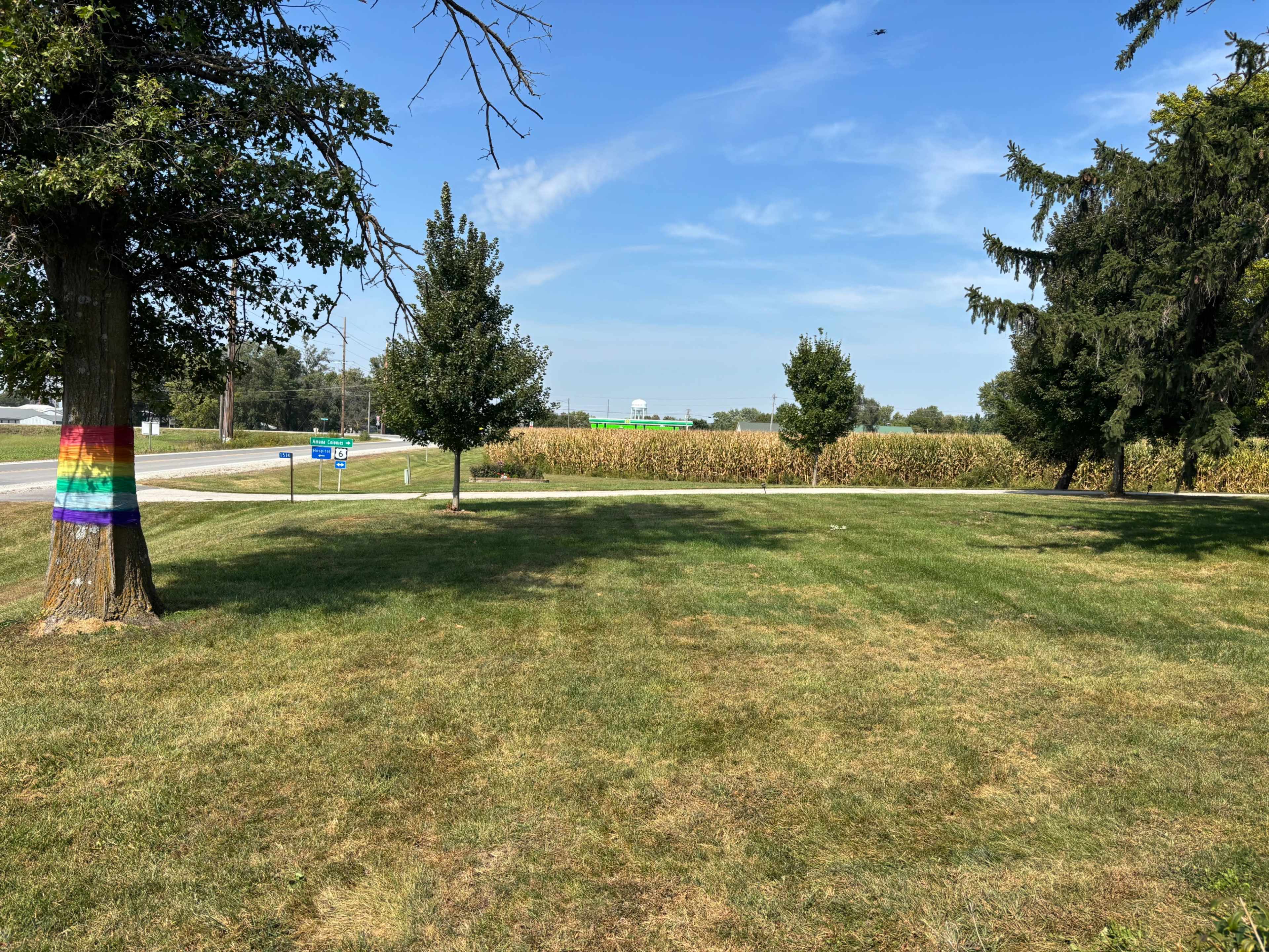 A grassy area with a rainbow-striped tree in the foreground and a cornfield in the background under a clear blue sky.