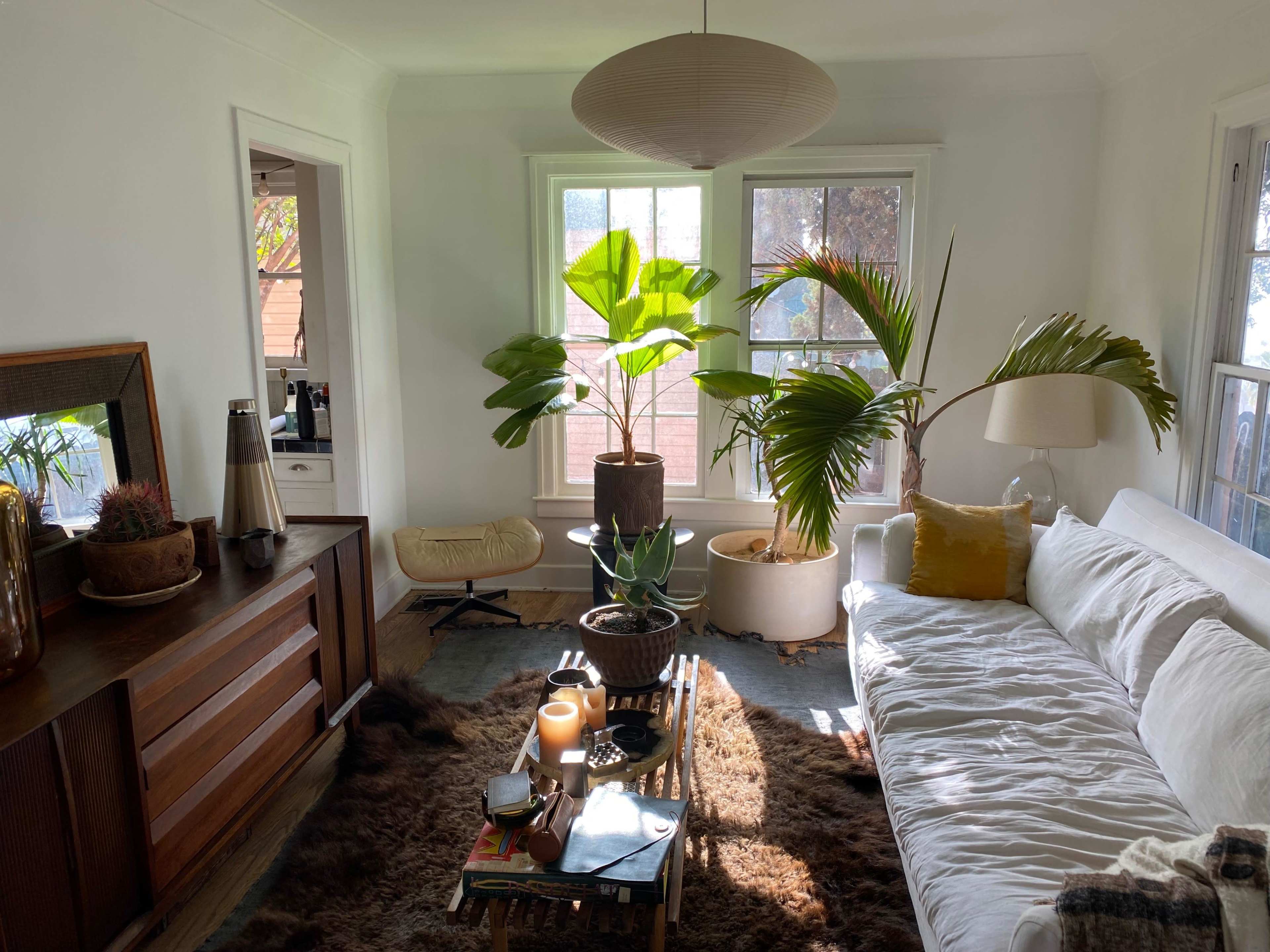 The image shows a cozy living room featuring a white sofa, various plants in large pots, a wooden sideboard, and a coffee table with candles and decorative items.