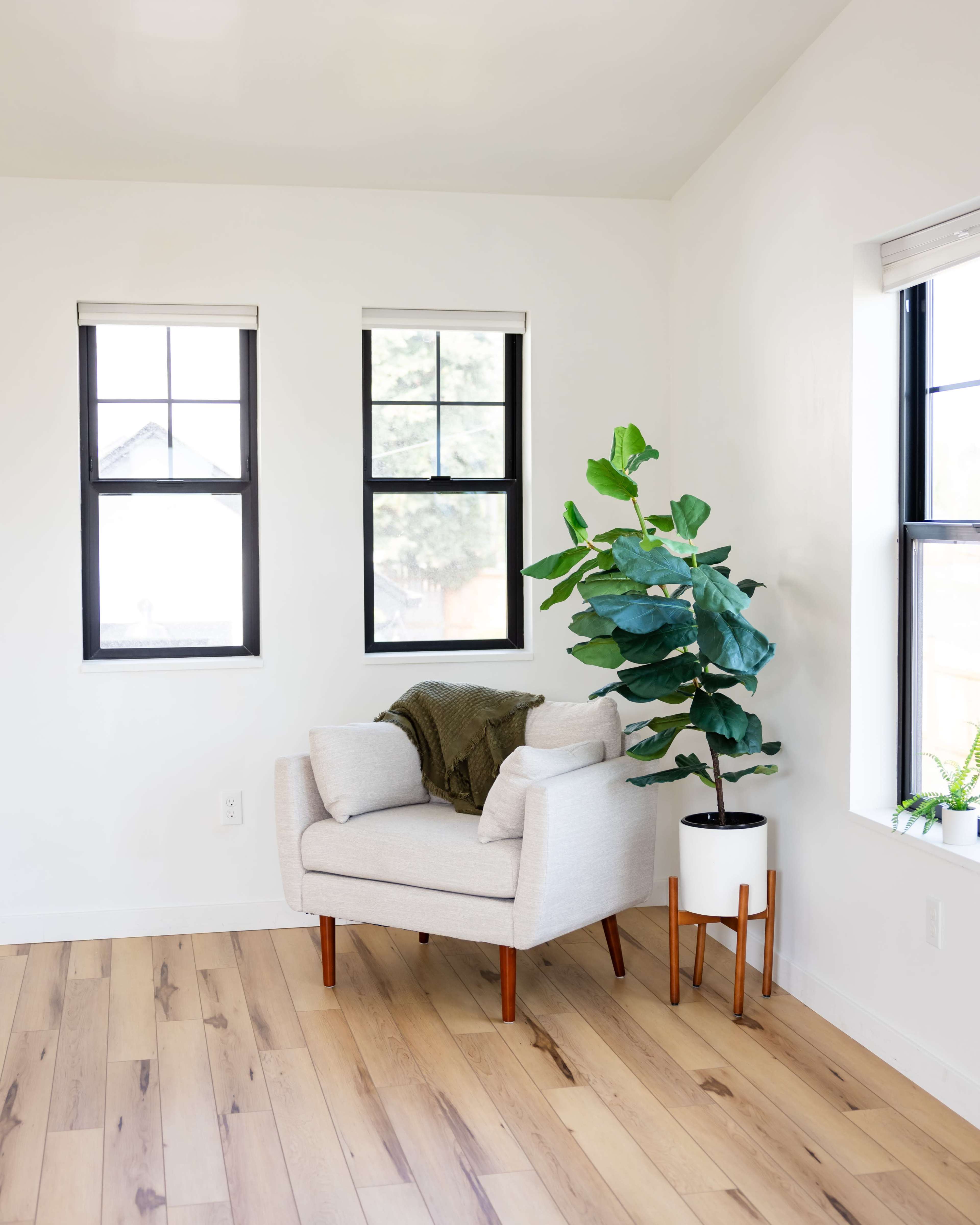 A light-filled corner of a room features a light gray armchair with a dark green throw blanket, next to a potted plant and two black-framed windows.
