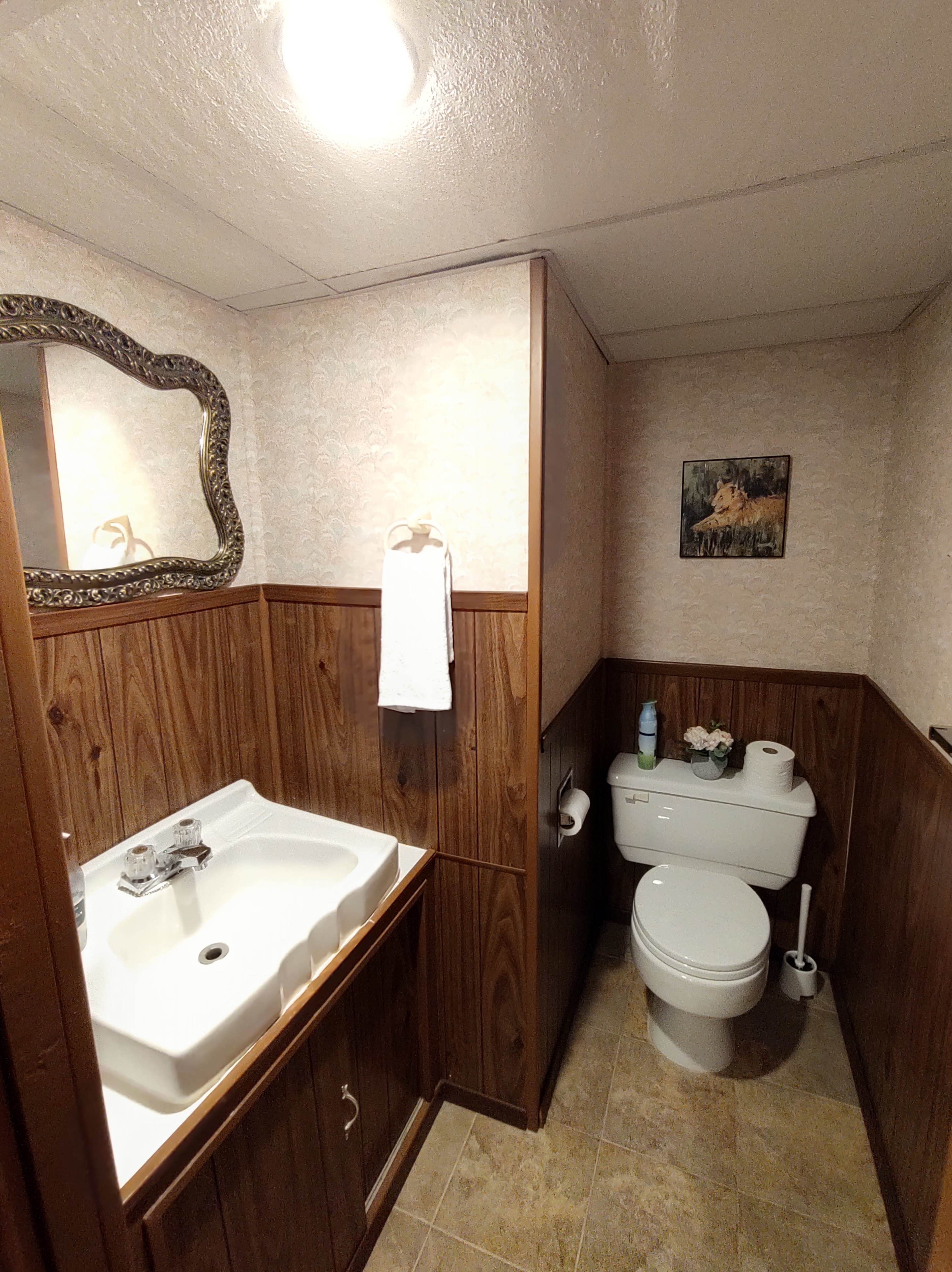 A small bathroom featuring a sink with a mirror, a toilet, and wood-paneled walls.