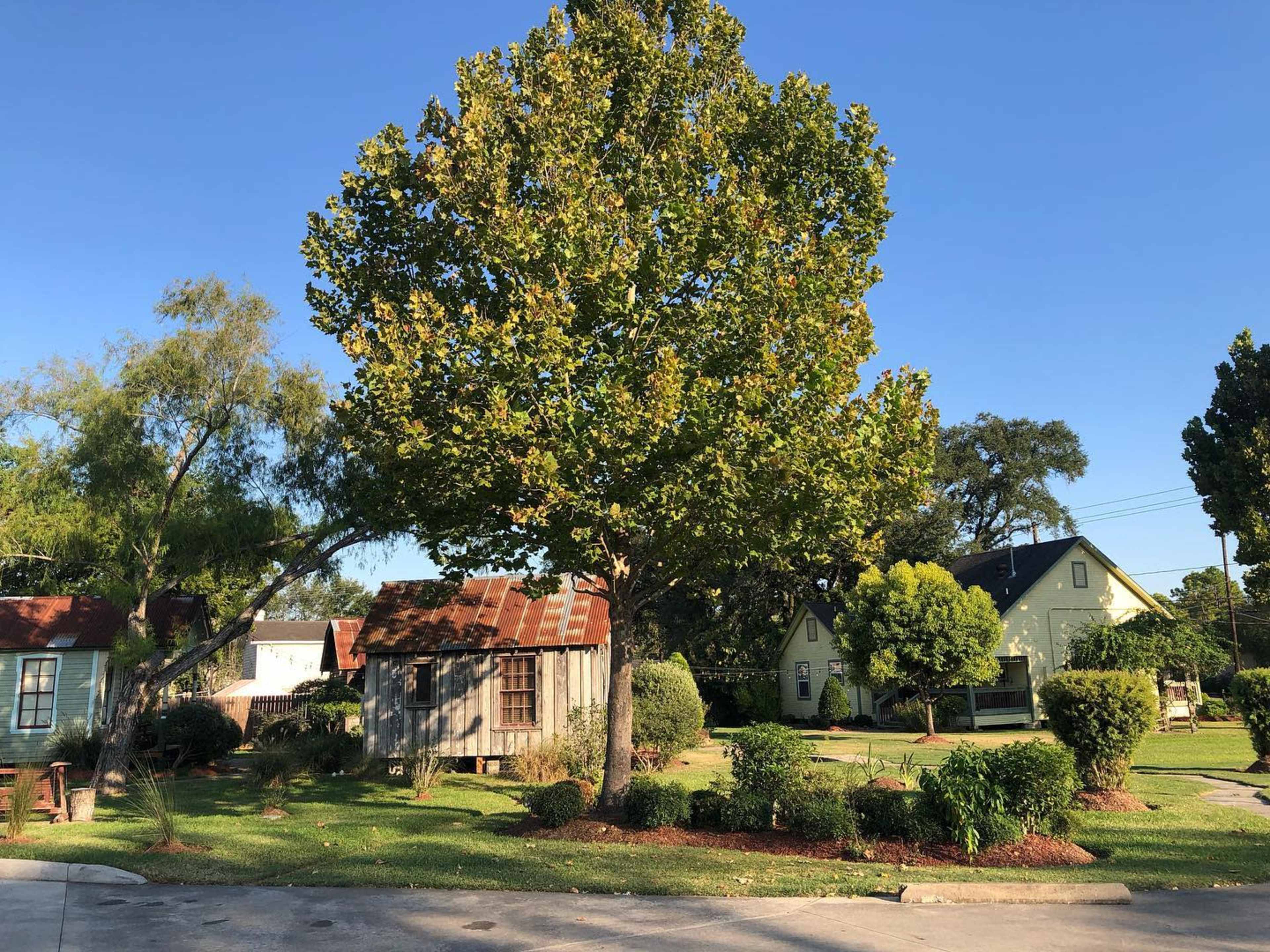 Rustic Western Event Space in a Quiet Neighborhood Image in Golden Acres, Pasadena, TX