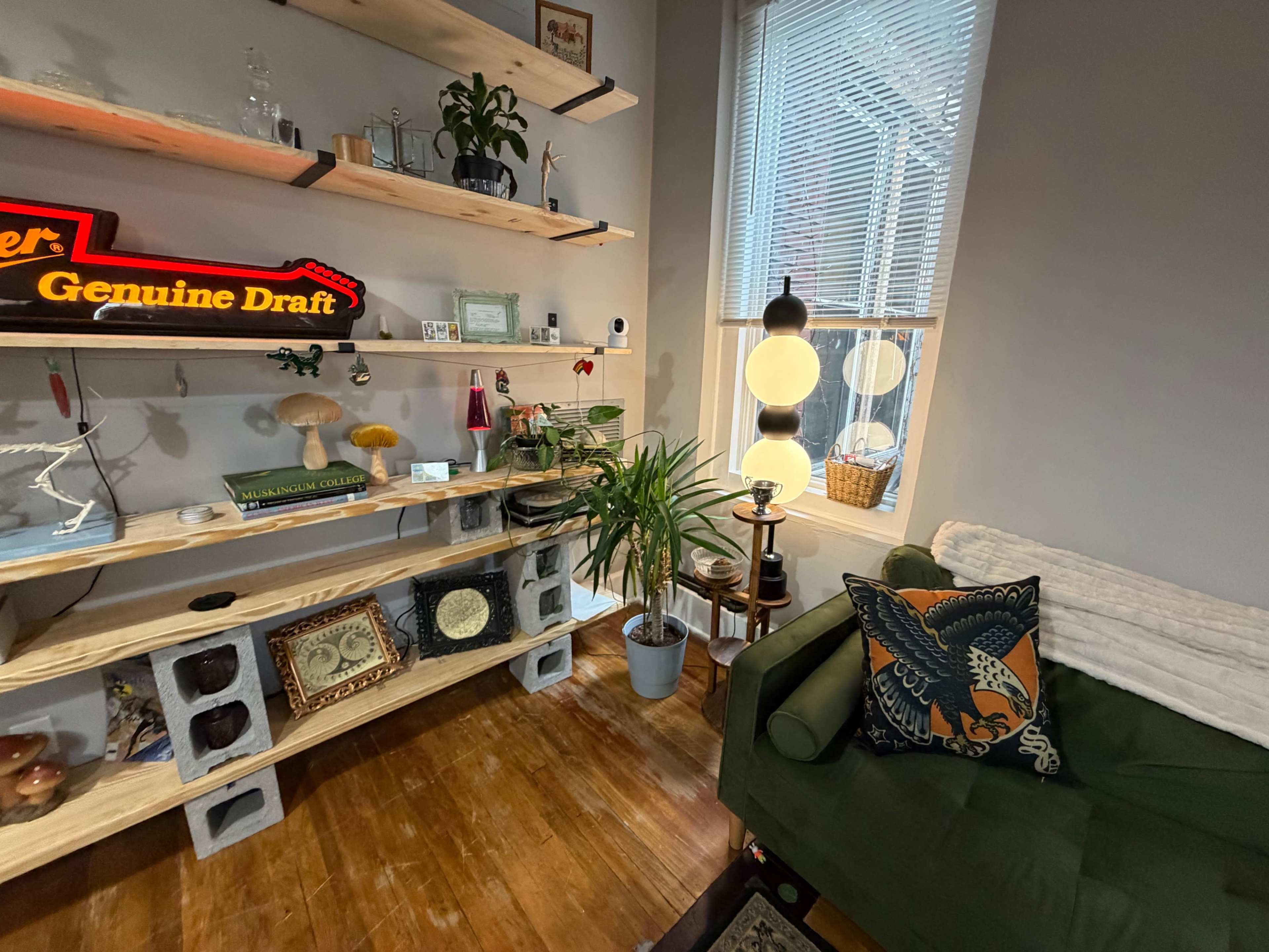 The image shows a cozy interior space featuring wooden shelves with various decor items, a green couch adorned with a patterned pillow, and a potted plant near a window.