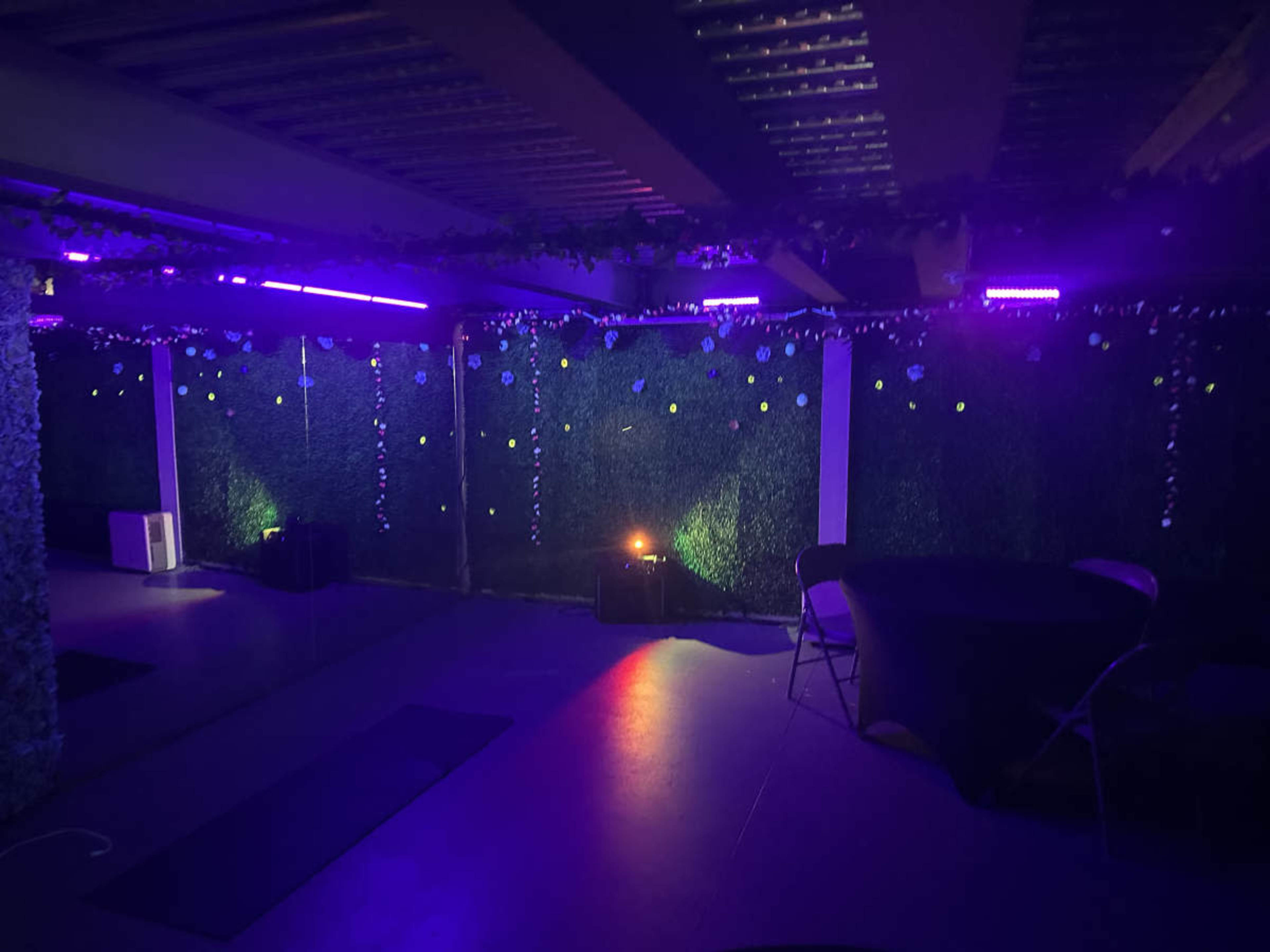 The image shows a dimly lit room with green foliage decorations on the walls and colorful lights illuminating the space.