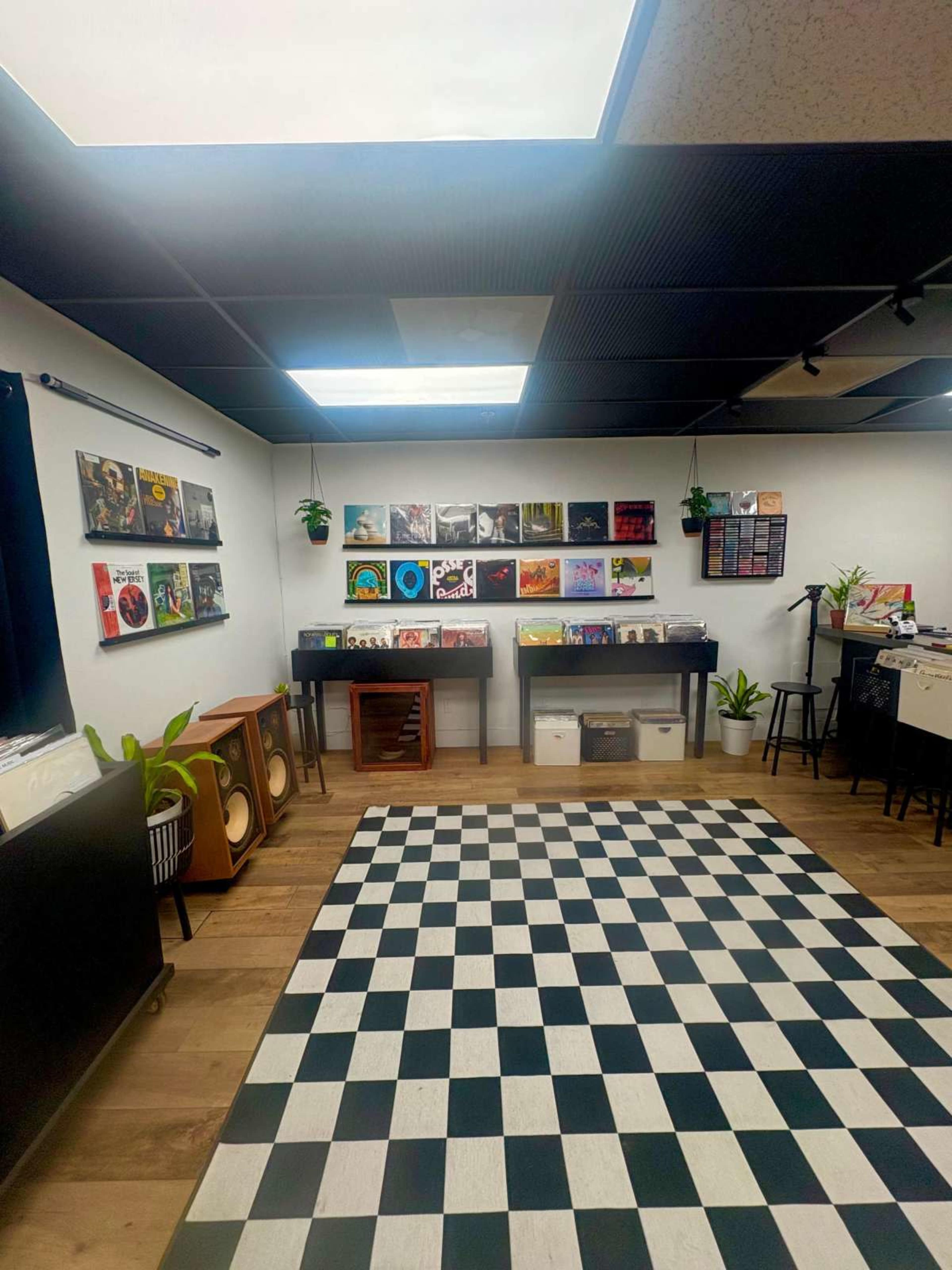 Intimate Record Store Hi-Fi Lounge Like Space Image in Temecula, Temecula, CA