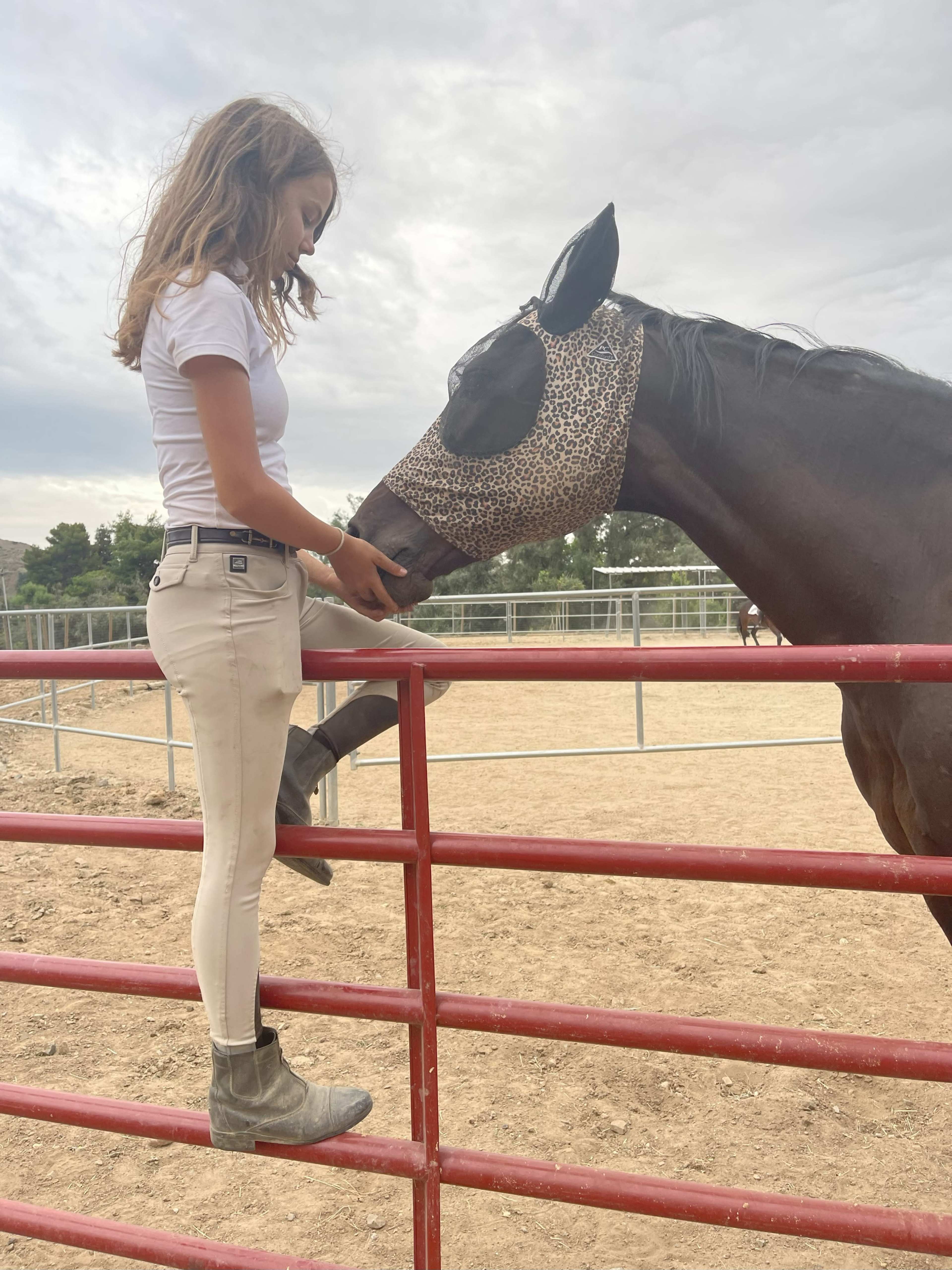 A girl in riding attire stands on a fence, leaning forward to interact with a horse wearing a patterned mask.