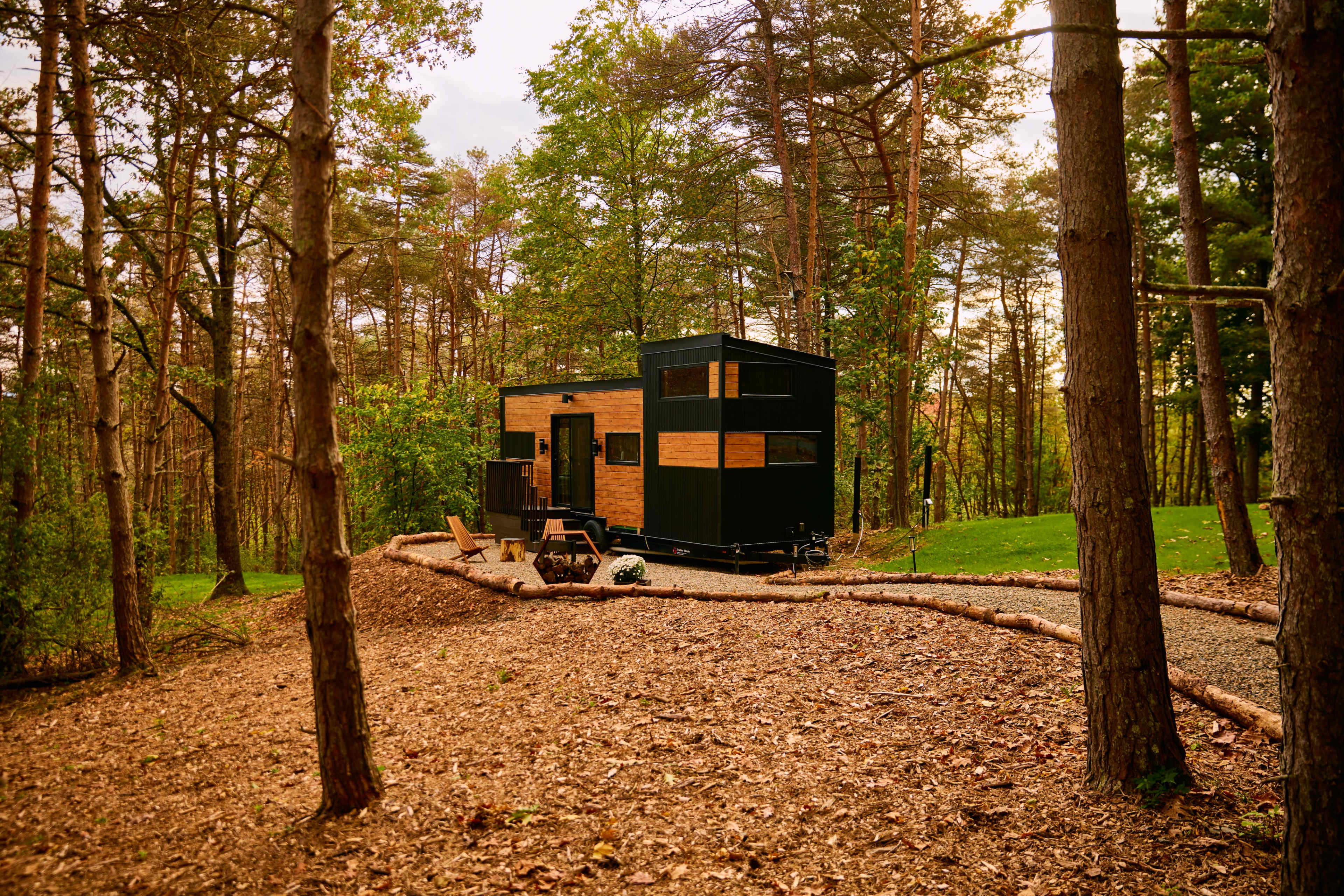 A modern cabin with a black exterior and wooden accents is situated among tall trees in a forested area.