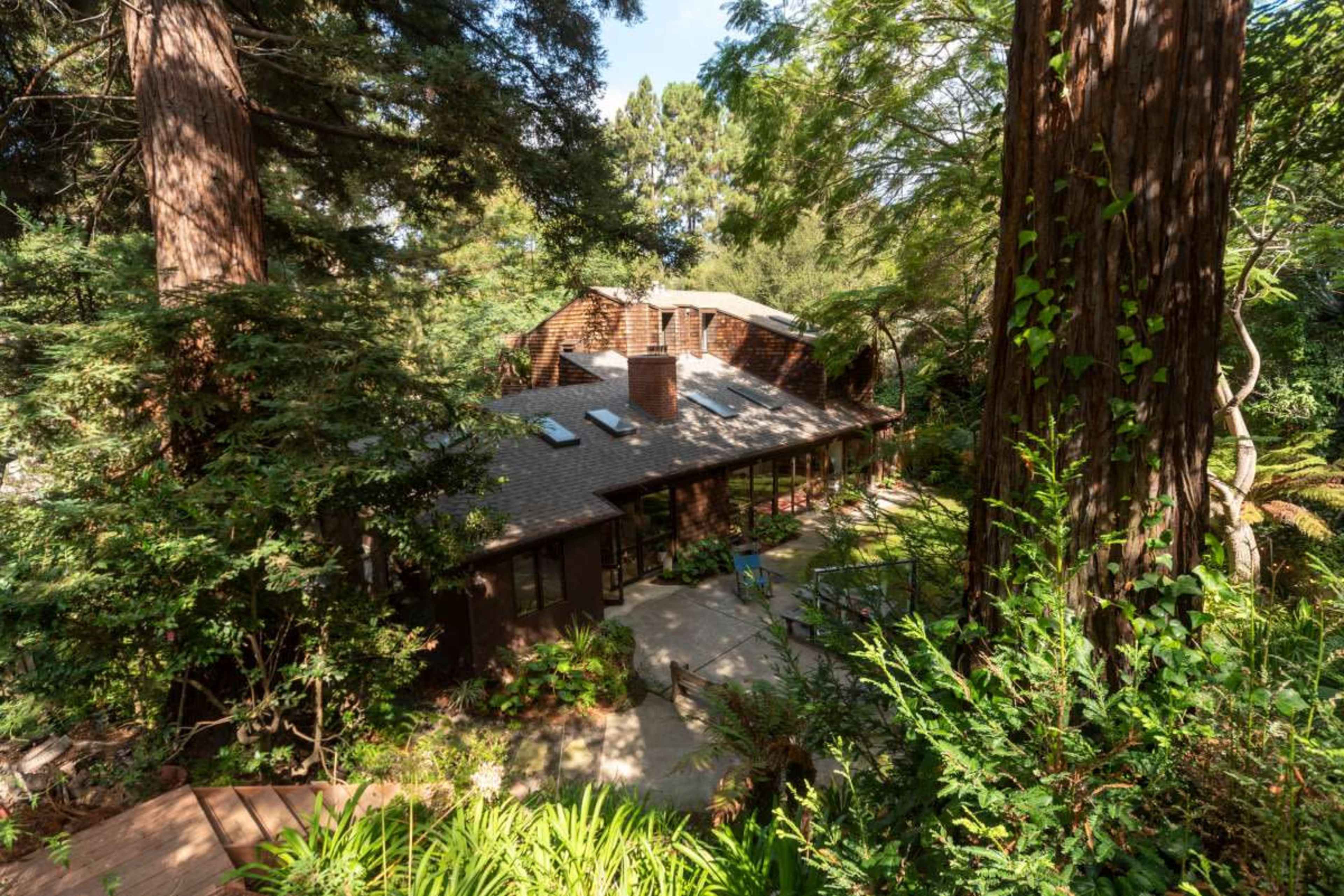 A modern house is nestled among tall redwood trees, with a stone patio visible in the foreground.