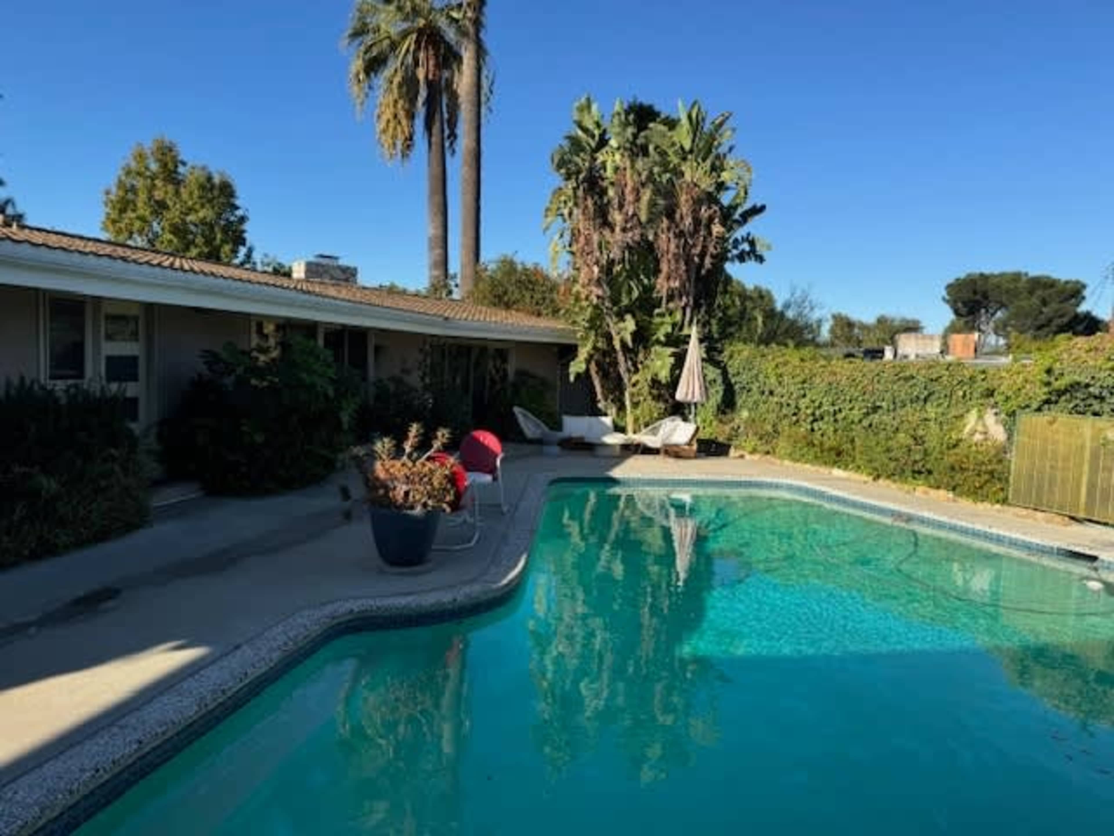 Mid-Century home with Pool. Vintage Gem. Image in Northridge, northridge, CA