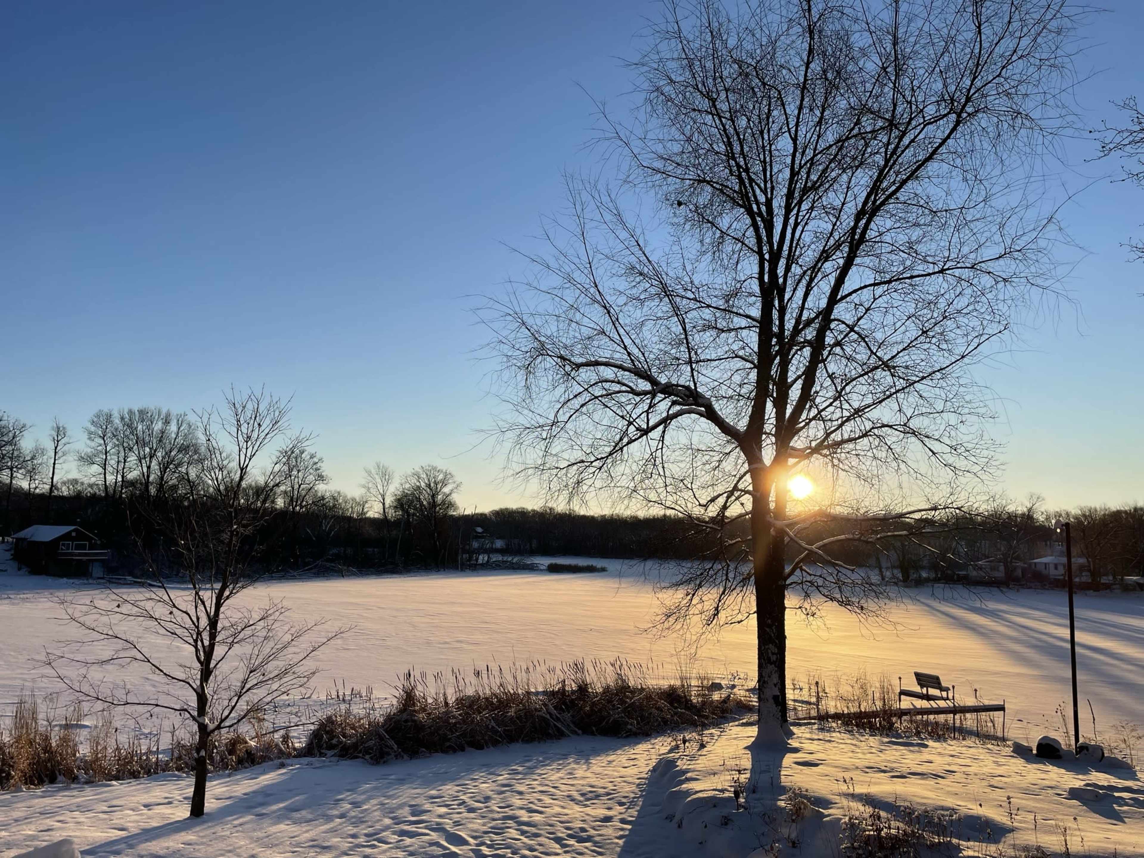 A bare tree stands beside a frozen lake, with the sun rising in the background and casting long shadows across the snow-covered ground.