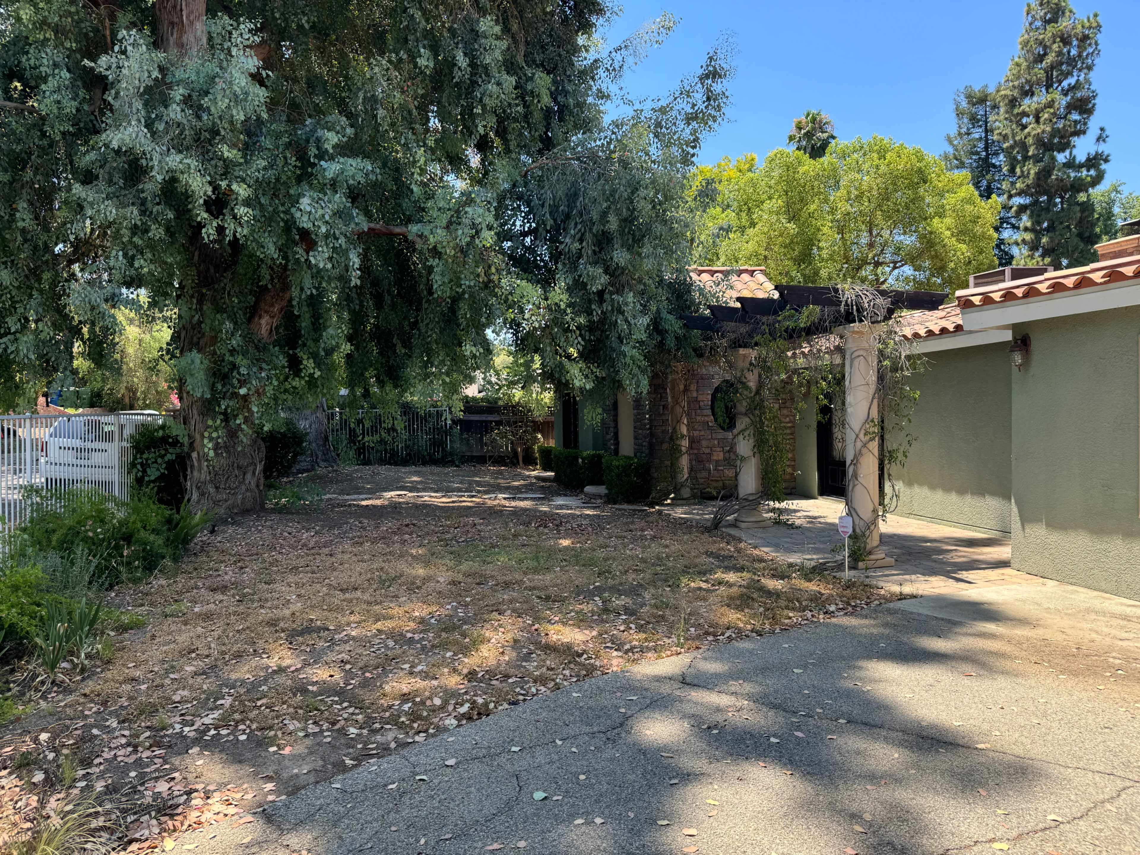 A stone pathway leads to a house partially shaded by large trees in an overgrown yard.