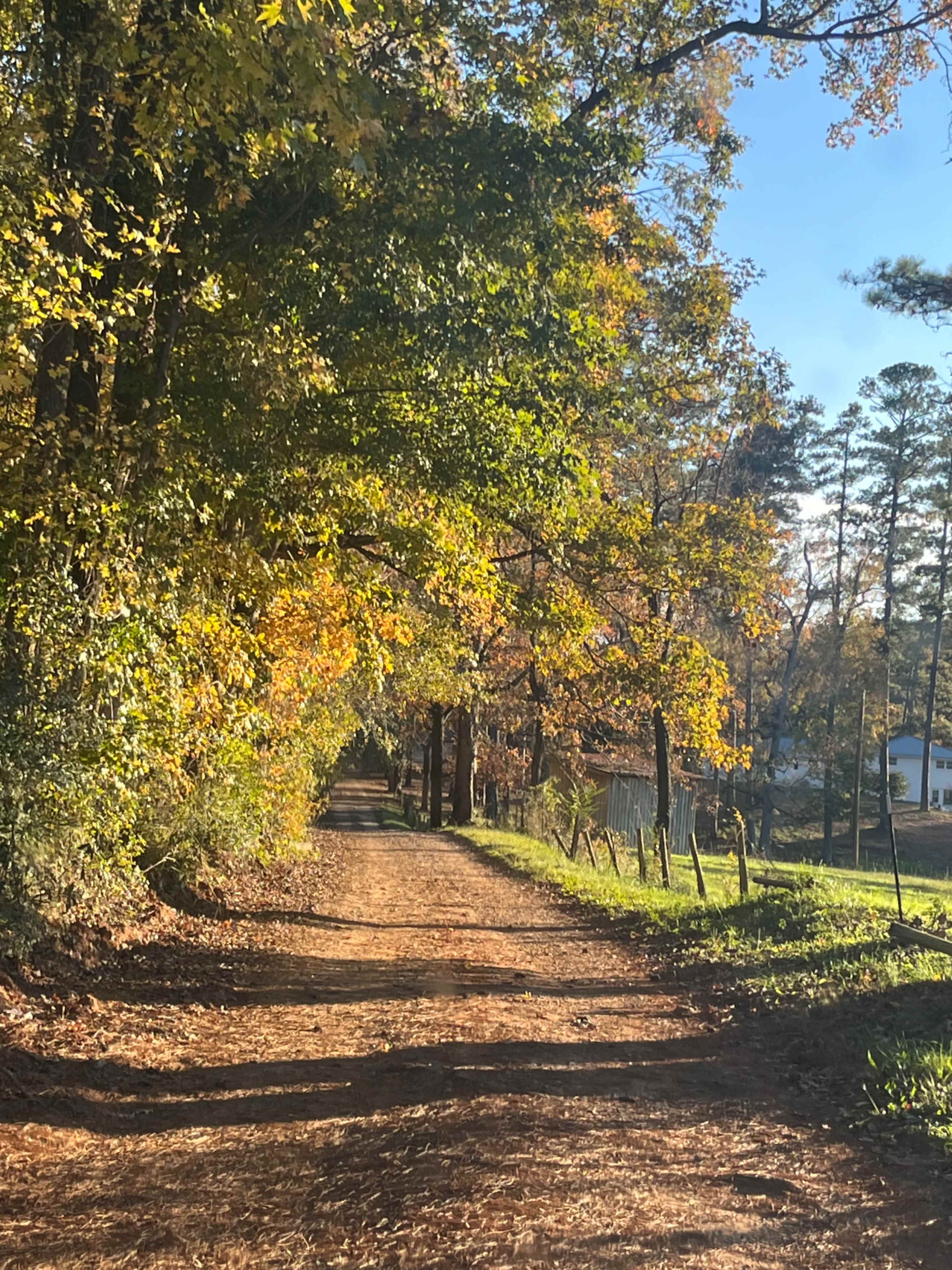 Country, Serene, Private, Renovated Farm House and horse stable on 20 acres with pond view and rolling hills Image in , Macon, GA
