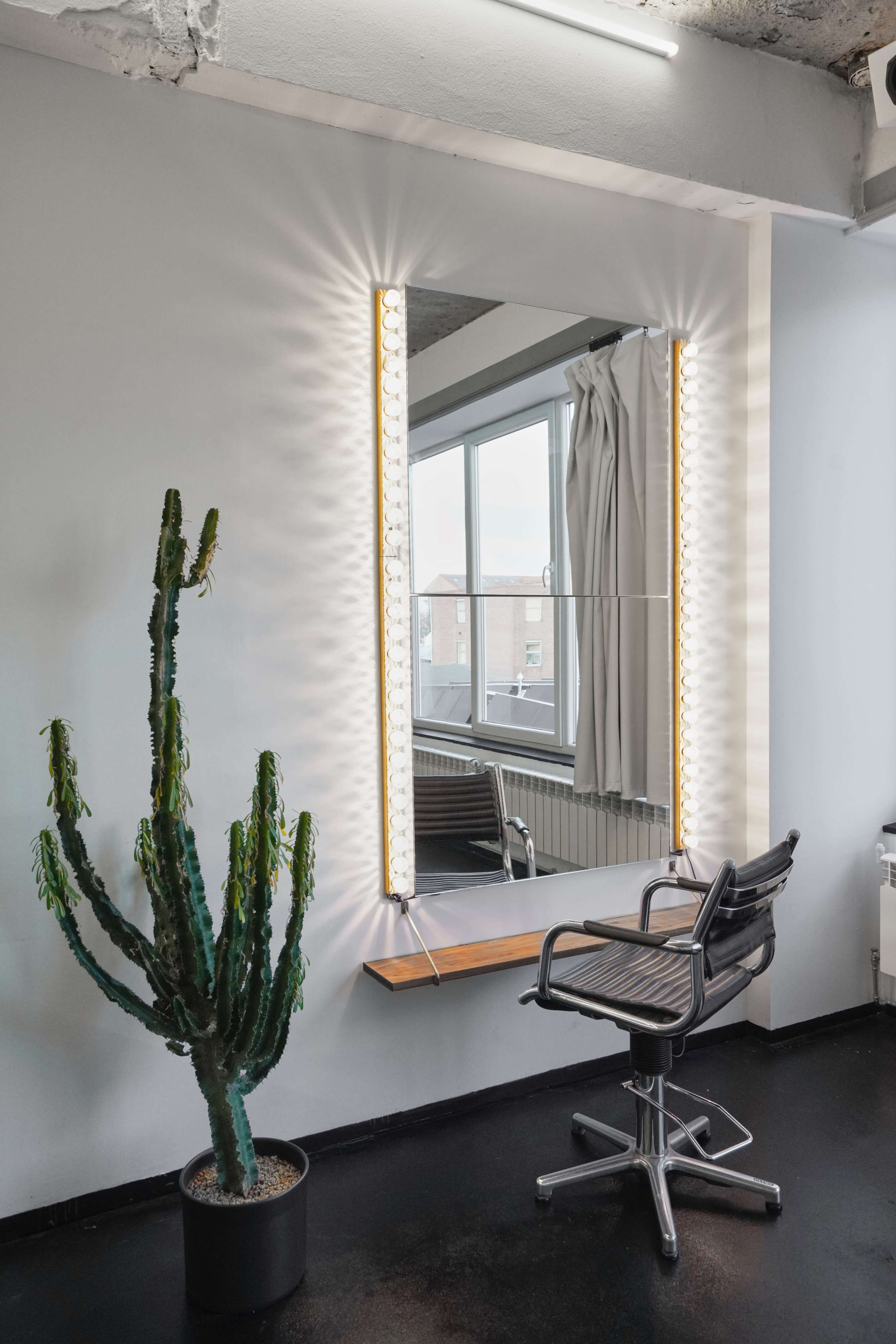 A tall cactus stands beside a mirrored wall with lights, reflecting a window and a chair in a minimalist room.