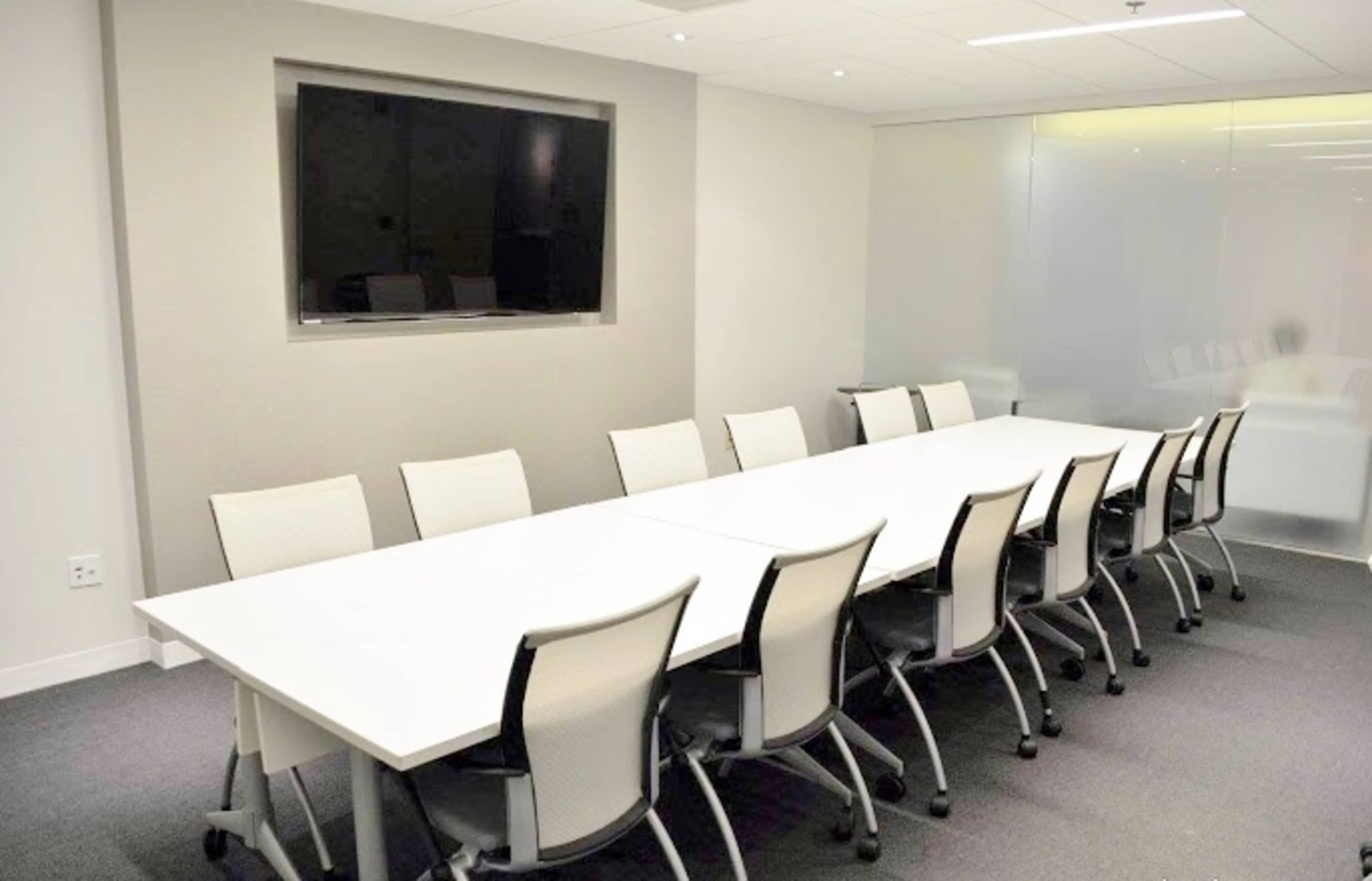 A conference room features a long white table with twelve ergonomic chairs and a wall-mounted television.