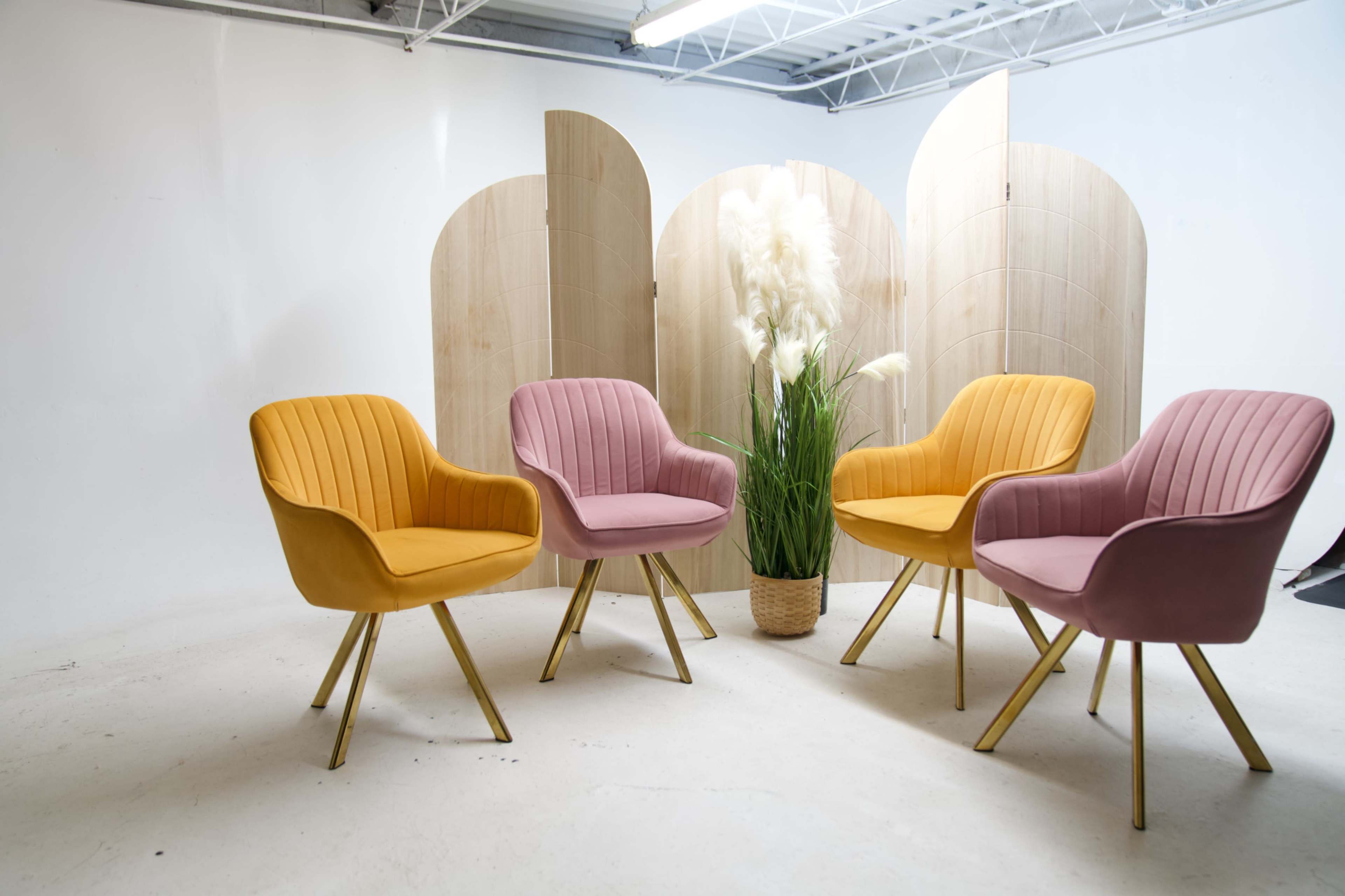 The image shows four modern chairs in pink, yellow, and orange colors arranged around a potted plant in front of a wooden room divider.